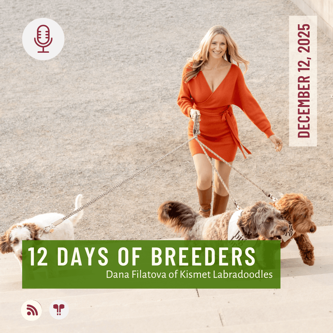 12 Days of Breeders 2025 - #12 - Dana Filatova of Kismet Labradoodles