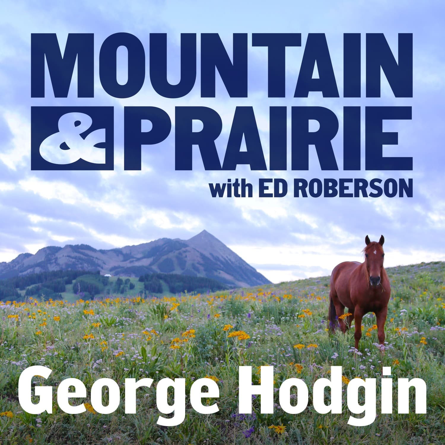 George Hodgin Returns – Risk-Taking, Leadership, and the Future of Cannabis