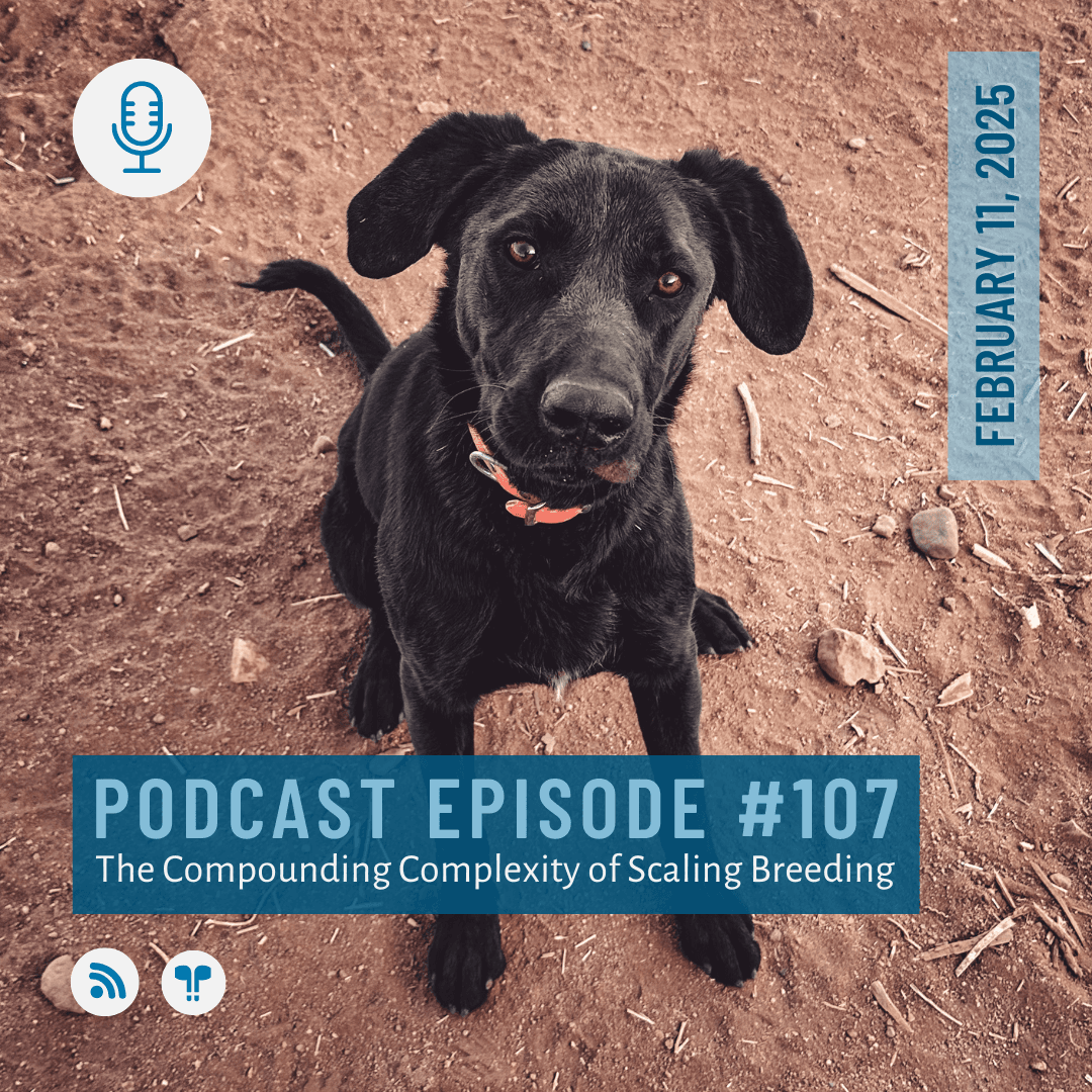 #107 - Do More Puppies Mean More Profit?