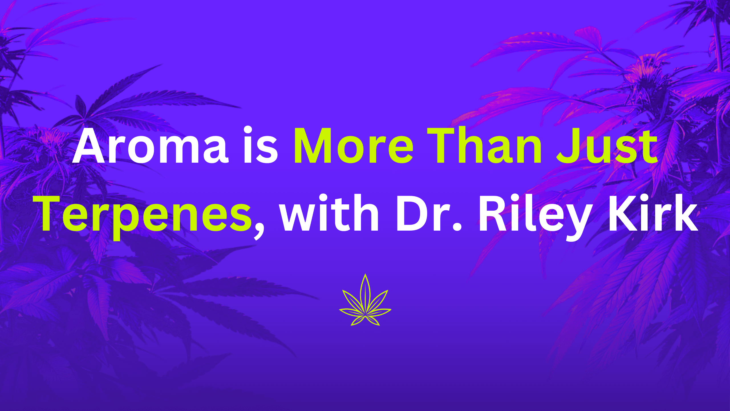 👃Aroma is MORE Than Just Terpenes, with Dr. Riley Kirk