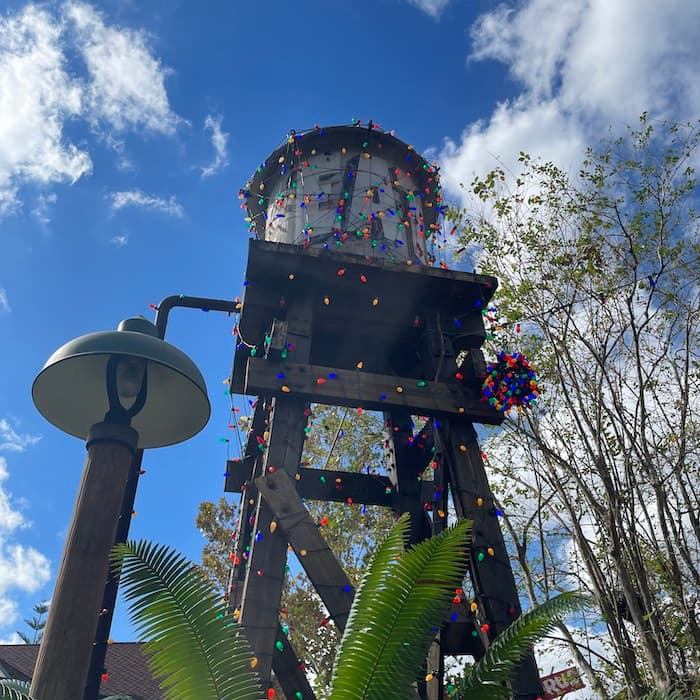 2024 Walkabout Holiday Season Kickoff At Animal Kingdom With Host Jeremy
