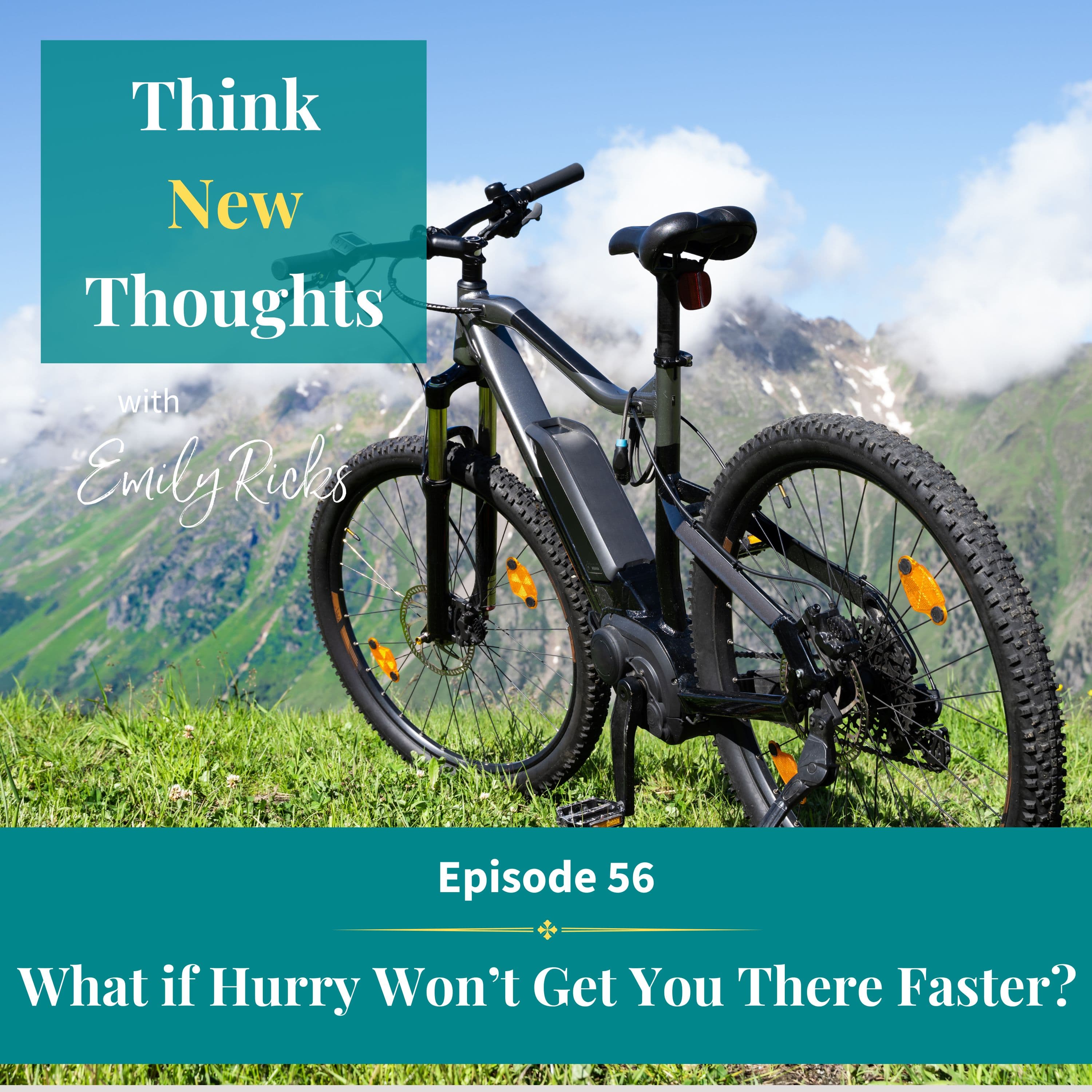 Ep 56: What if Hurry Won't Get You There Faster?