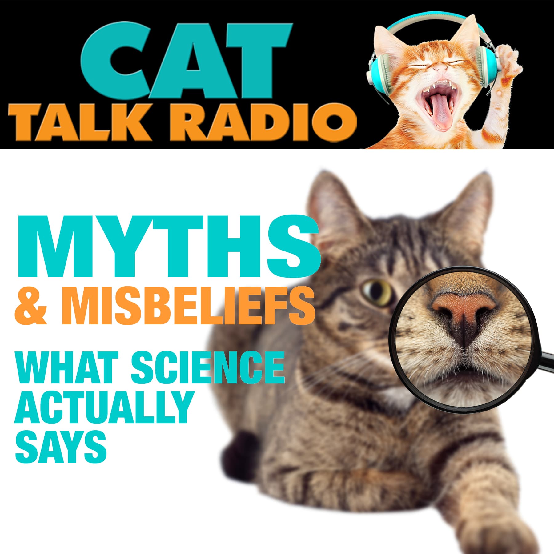 Cat Myths, Misbeliefs & What Science Actually Says