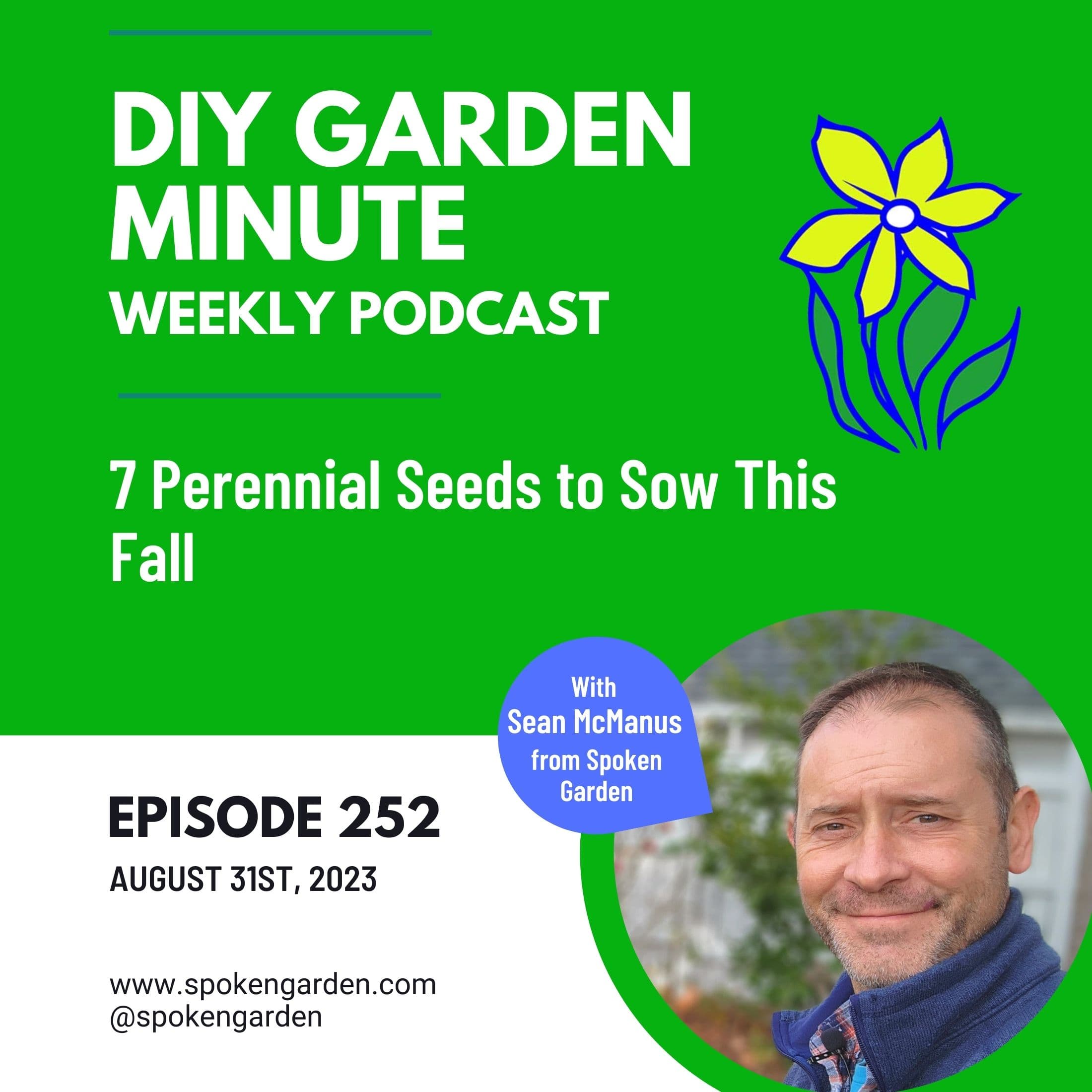 7 Perennial Seeds to Sow This Fall - DIY Garden Minute