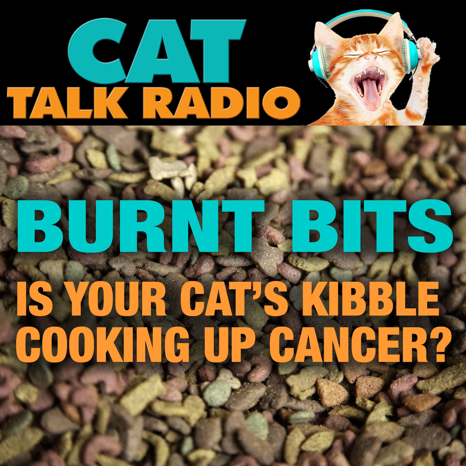 Burnt Bits: Is Your Cat's Kibble Cooking Up Cancer?