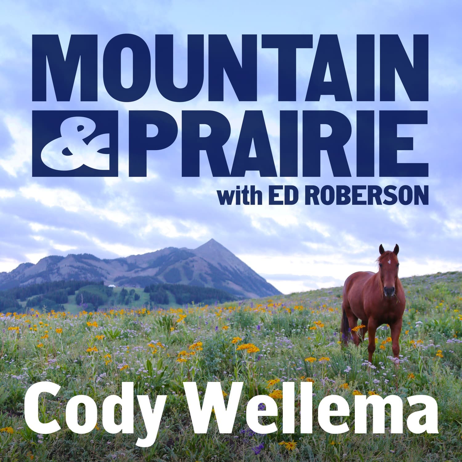 Cody Wellema – After the Fire, Before What's Next