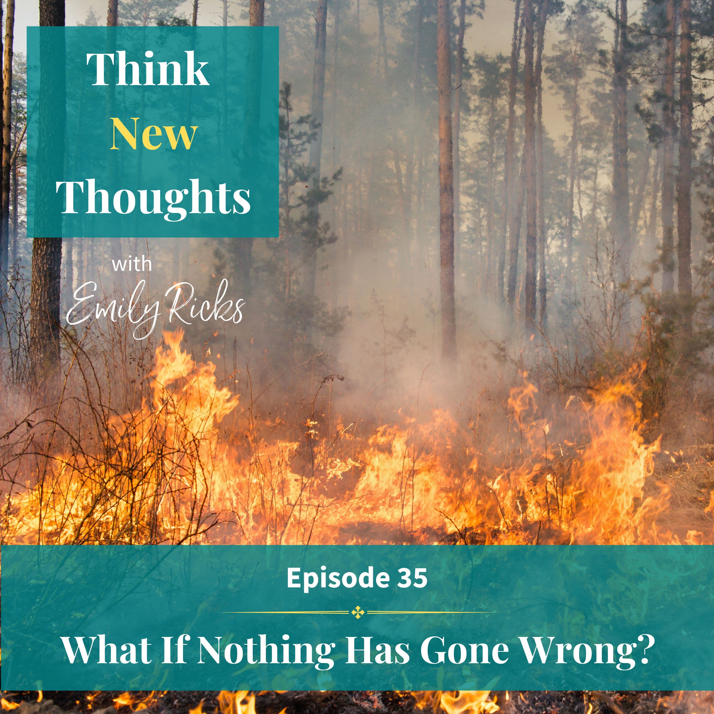 Ep 35: What If Nothing Has Gone Wrong?