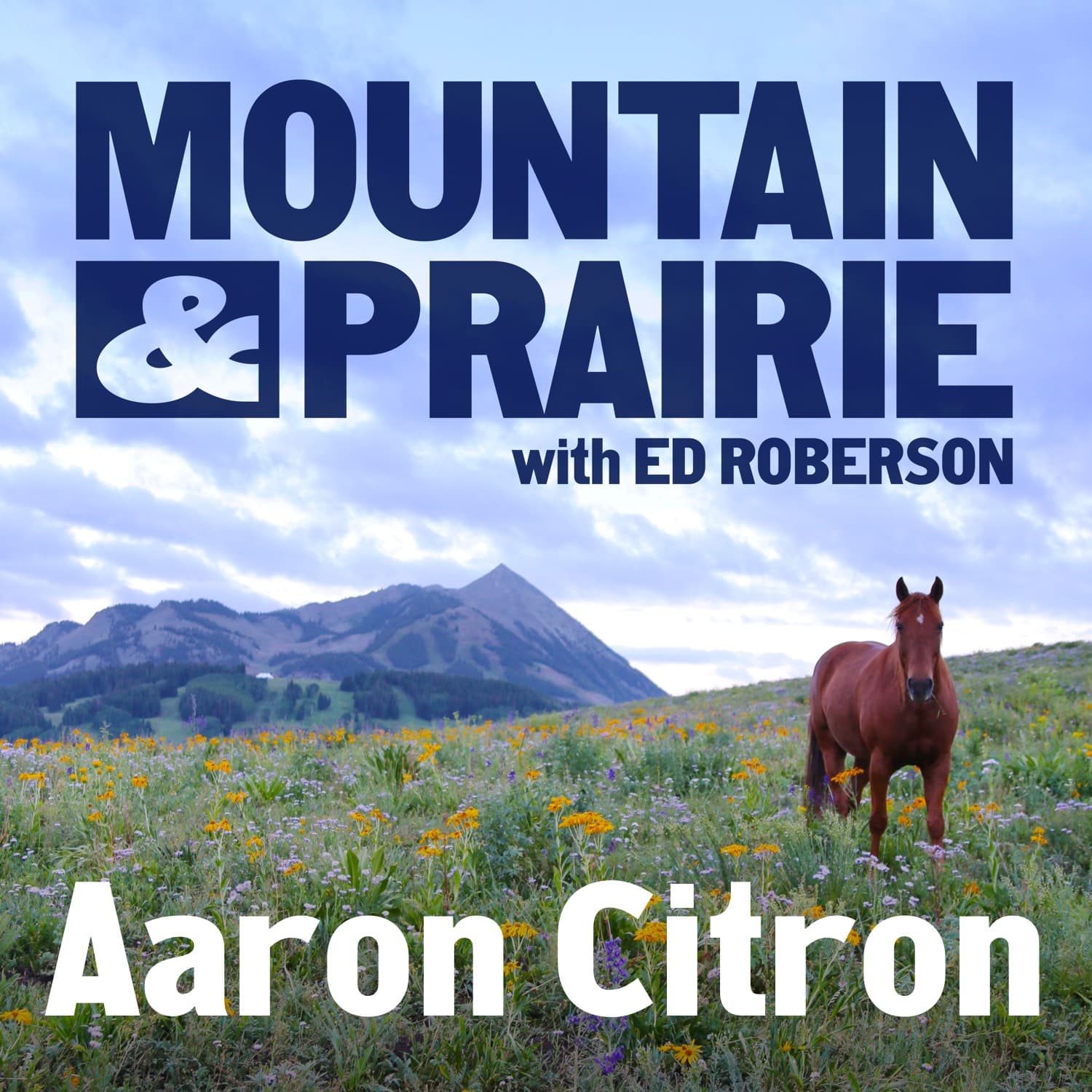 Aaron Citron: Crafting Conservation Policy in a Changing West