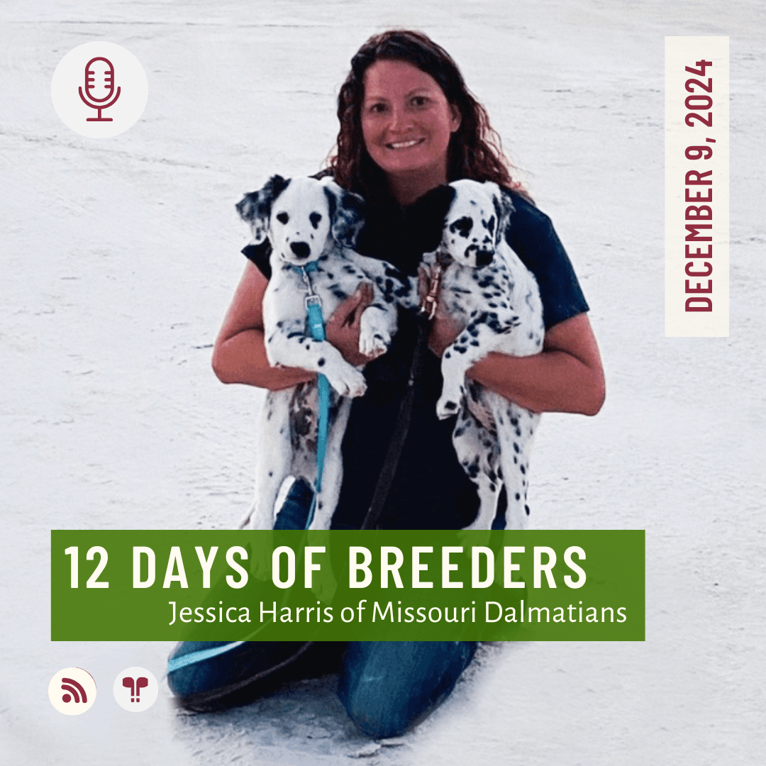 12 Days of Breeders #07 - Jessica Harris of Missouri Dalmatians - From Fired to on Fire!