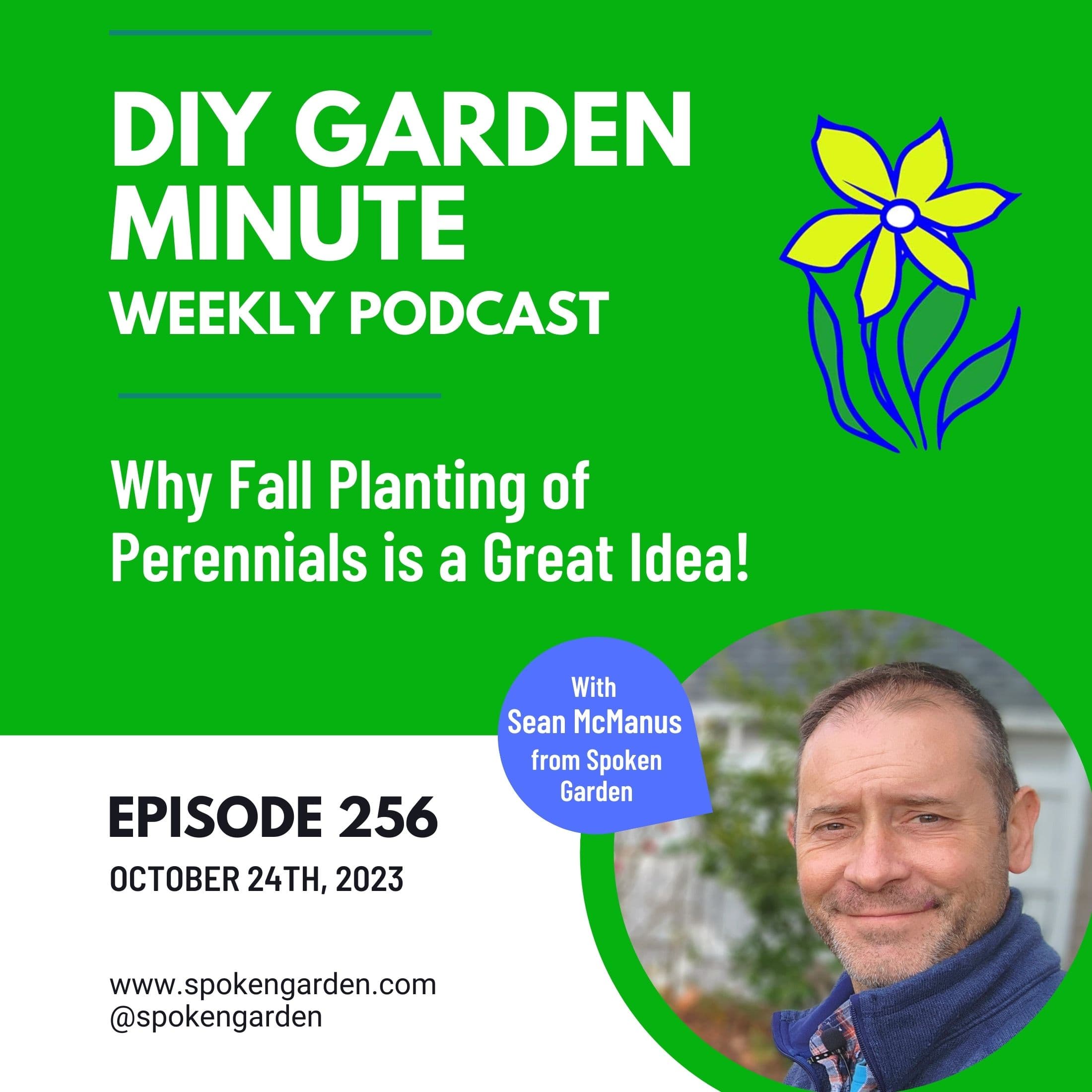 Why Fall Planting of Perennials is a Great Idea - DIY Garden Minute