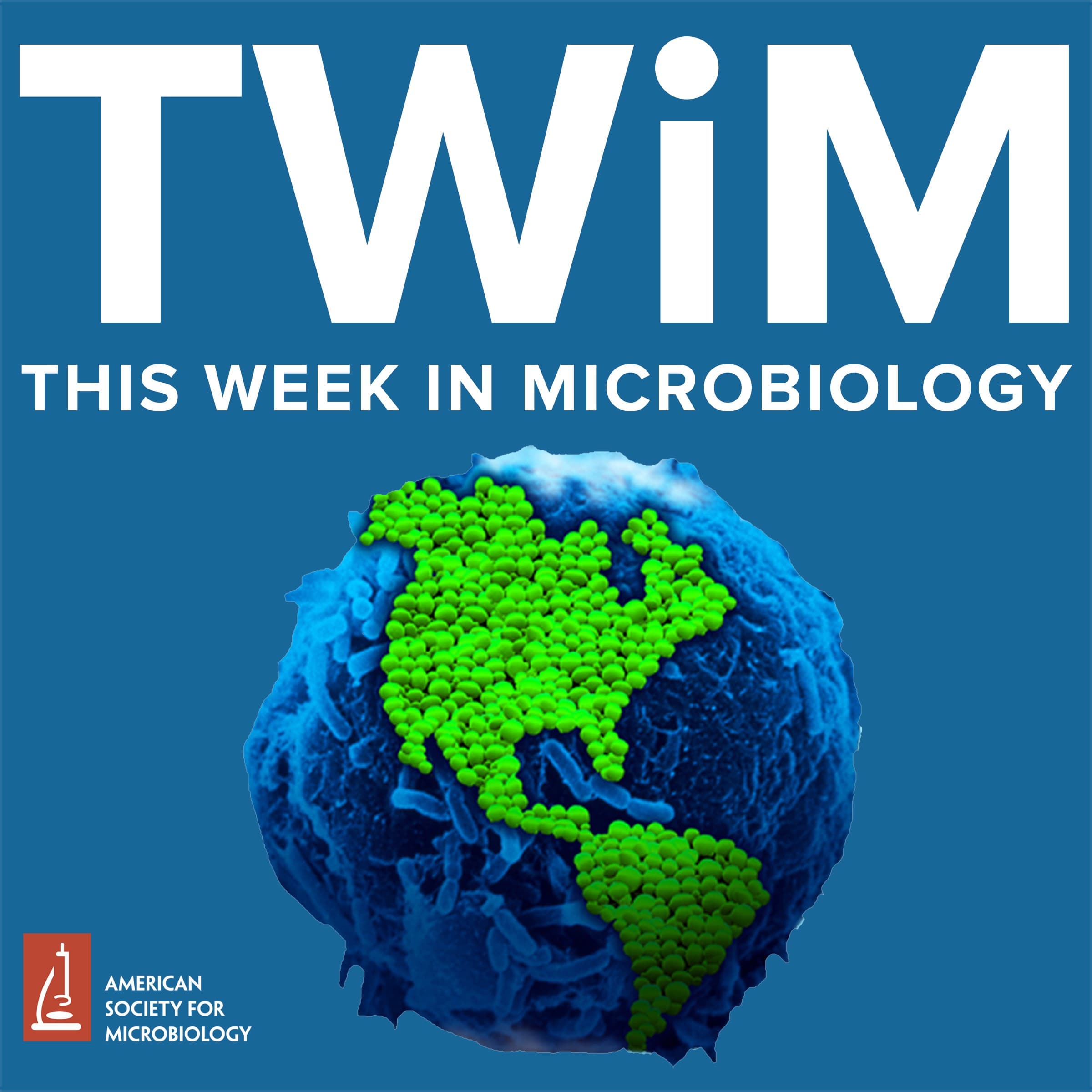 346: Metabolism and Porin Permeability