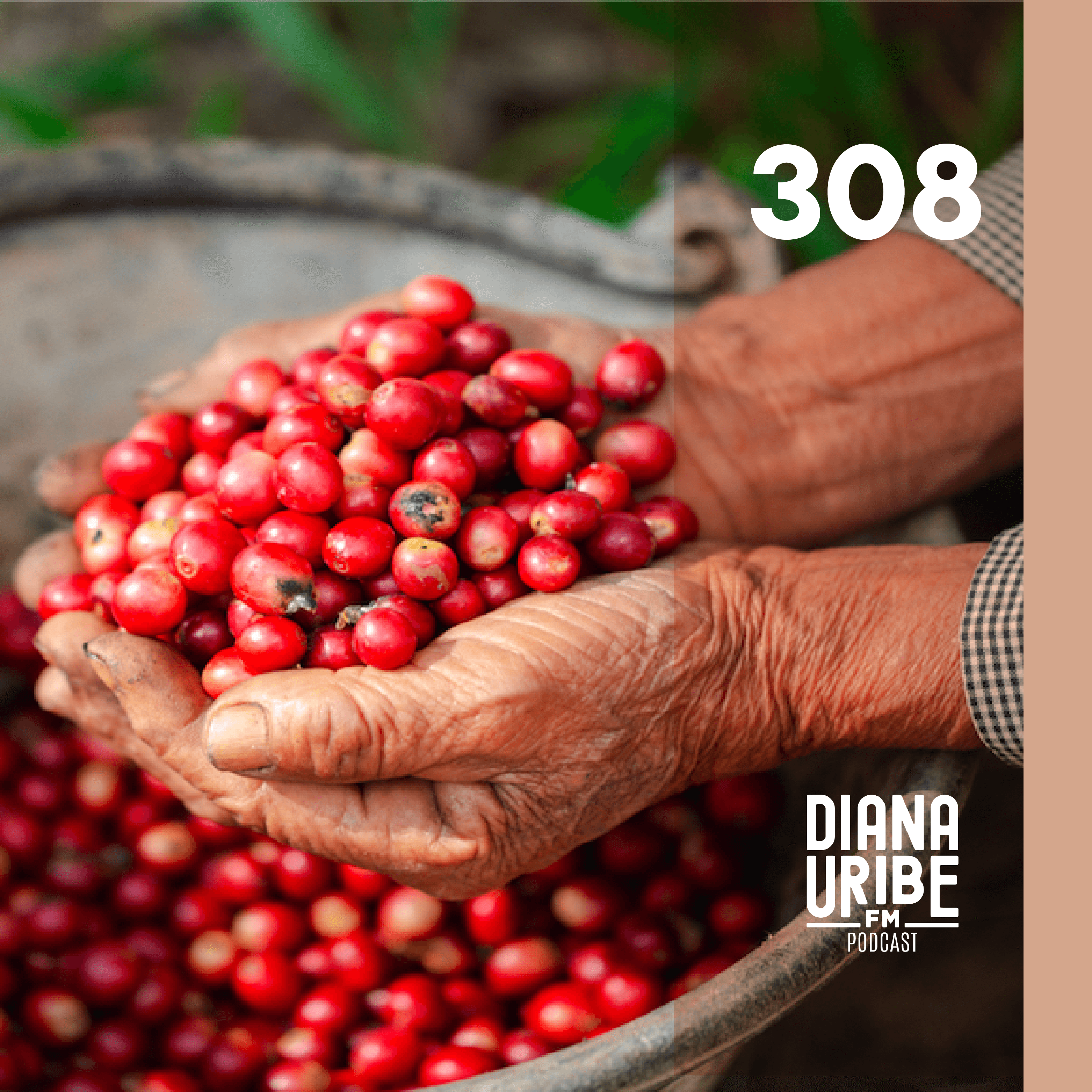Historia del Café I: El origen de una bebida universal