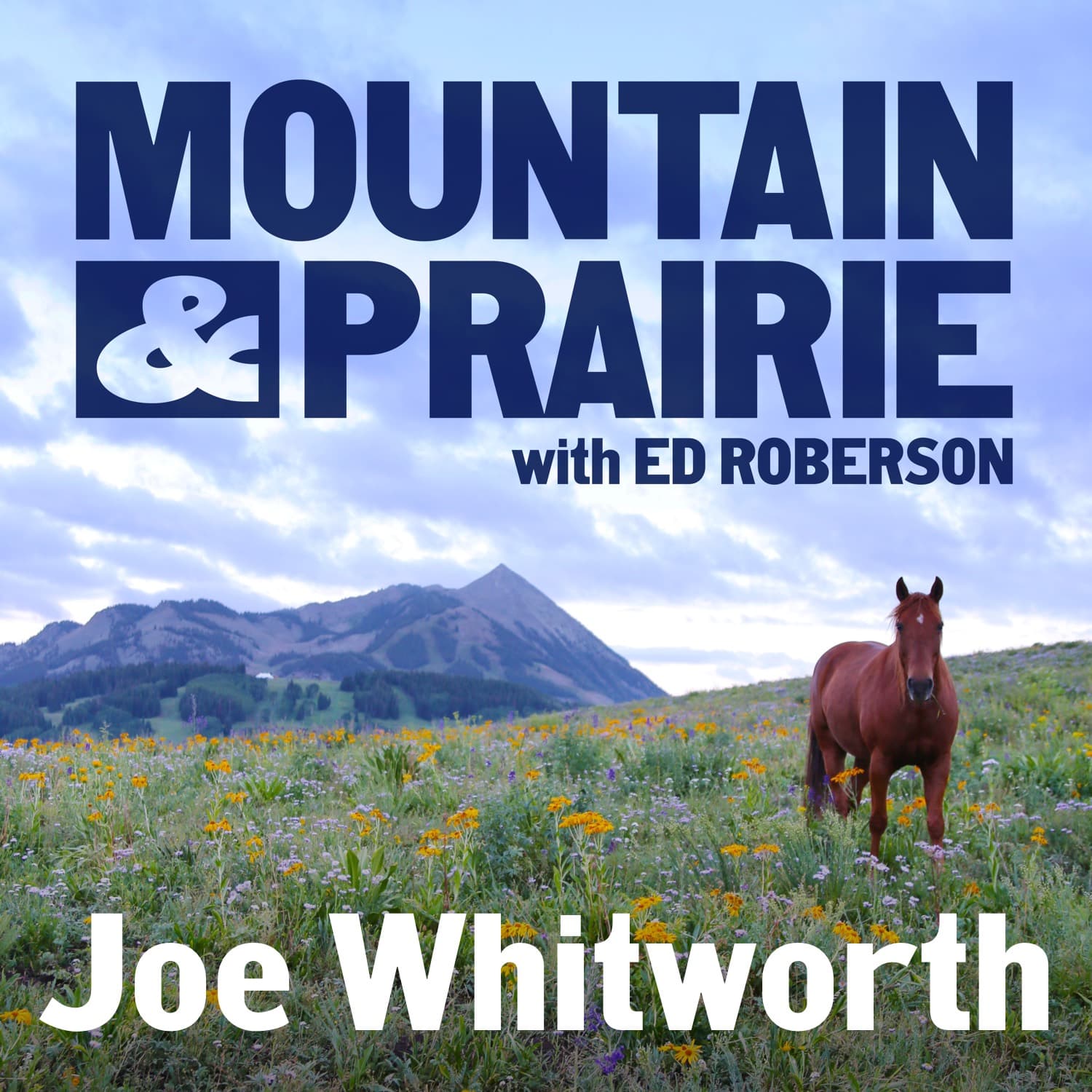Joe Whitworth - On Unrelenting Effort, Blazing Your Own Trail, and Taking Action