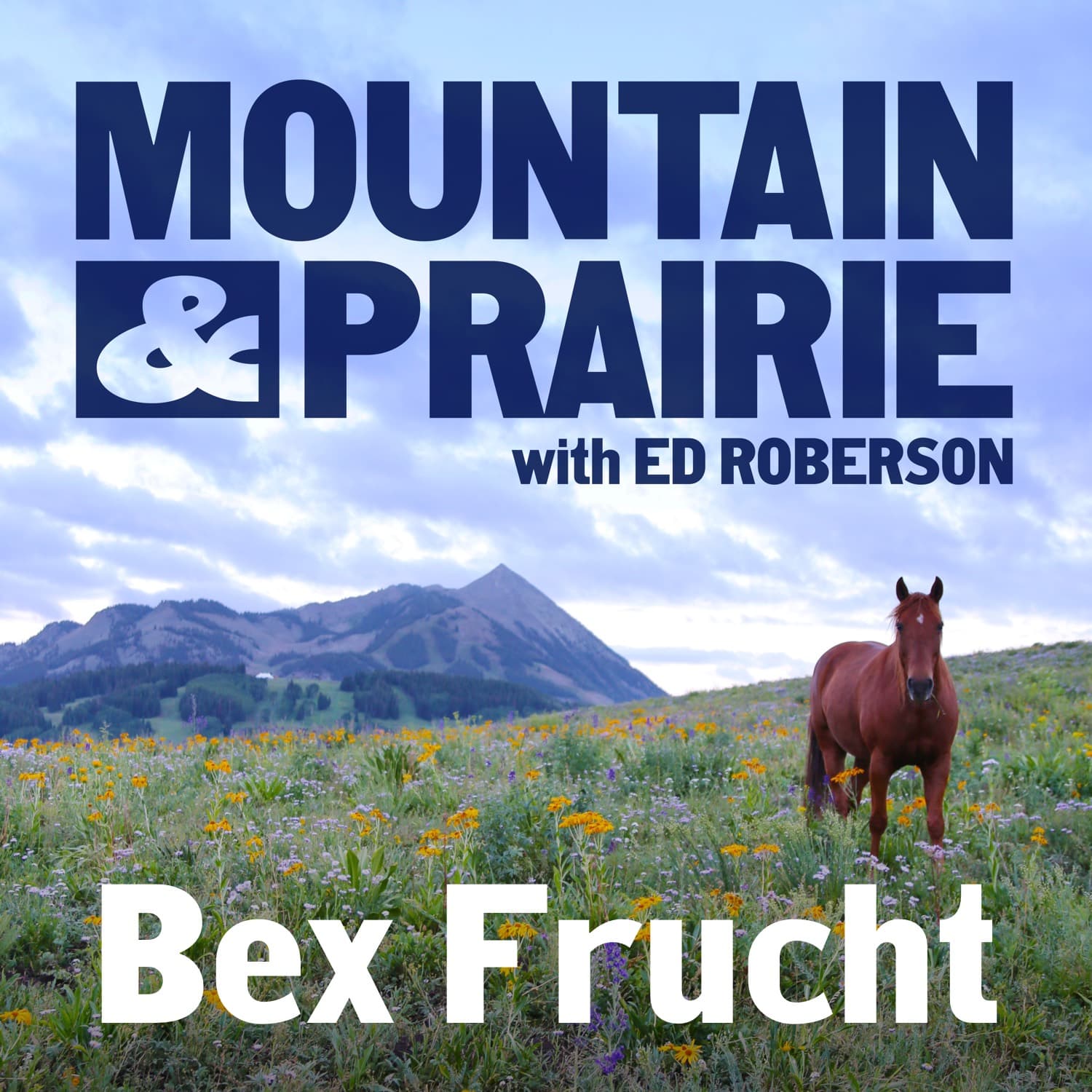 Bex Frucht — Story Wrangler! Vibe Steward! One of a Kind!