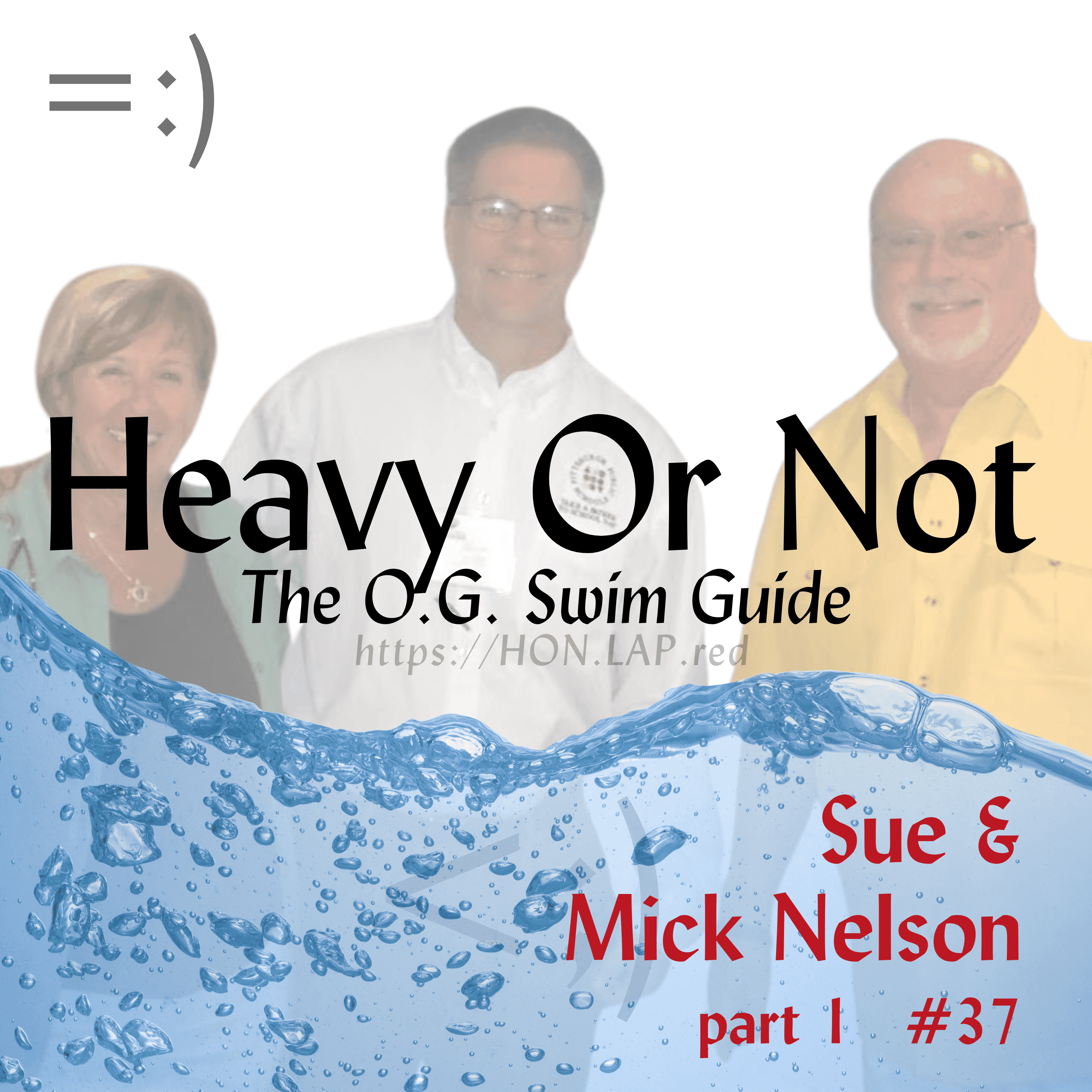 Career pivots and expansion of services. Sue Nelson's journey to diversify leads to satisfaction and stability.