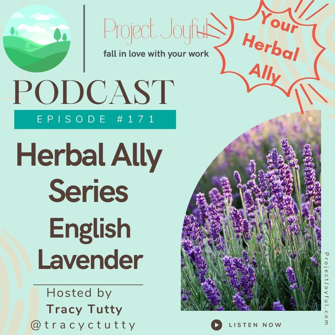 Herbal Ally Series - Lavender