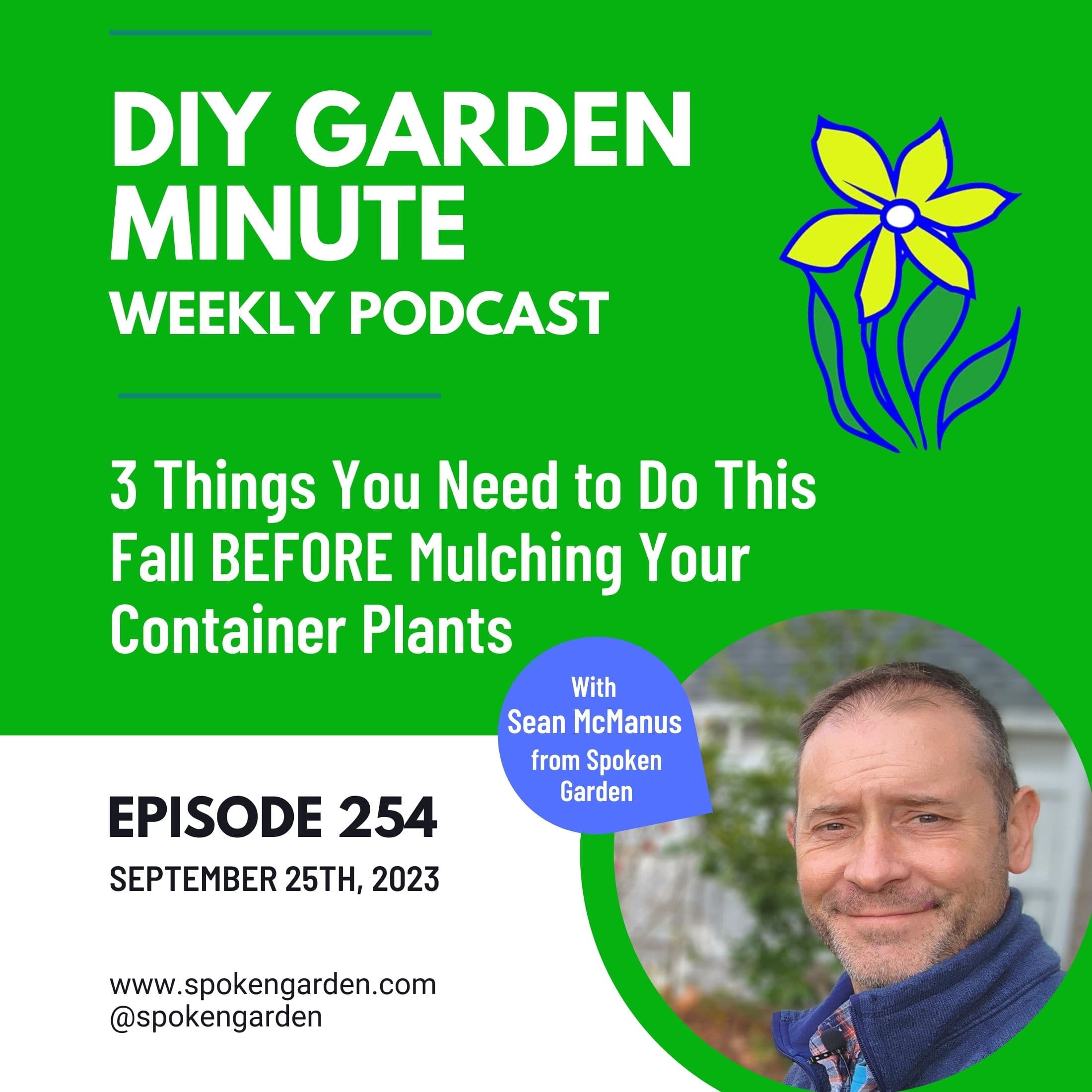3 Things You Need to Do This Fall BEFORE Mulching Your Container Plants - DIY Garden Minute