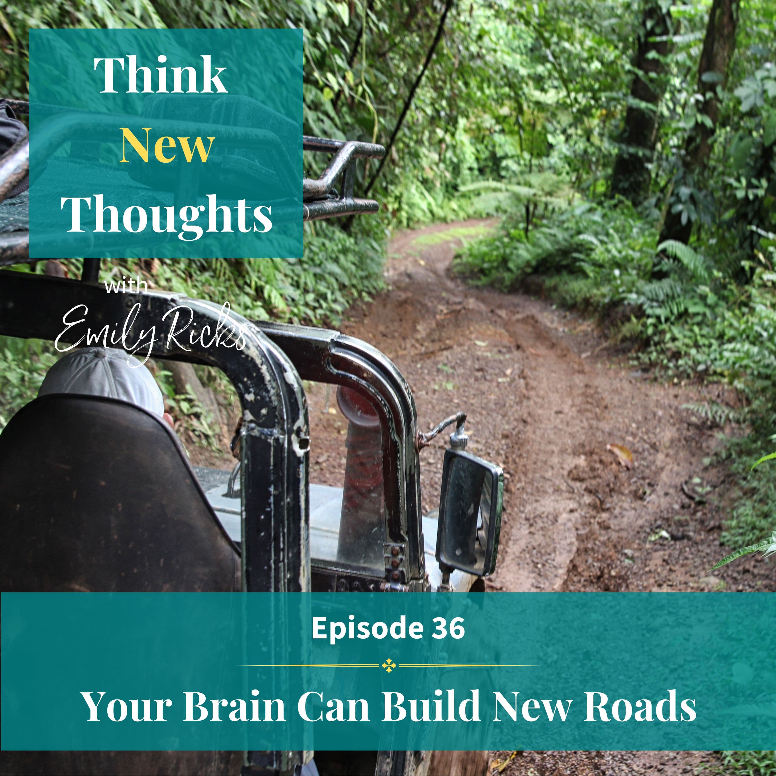 Ep 36: Your Brain Can Build New Roads
