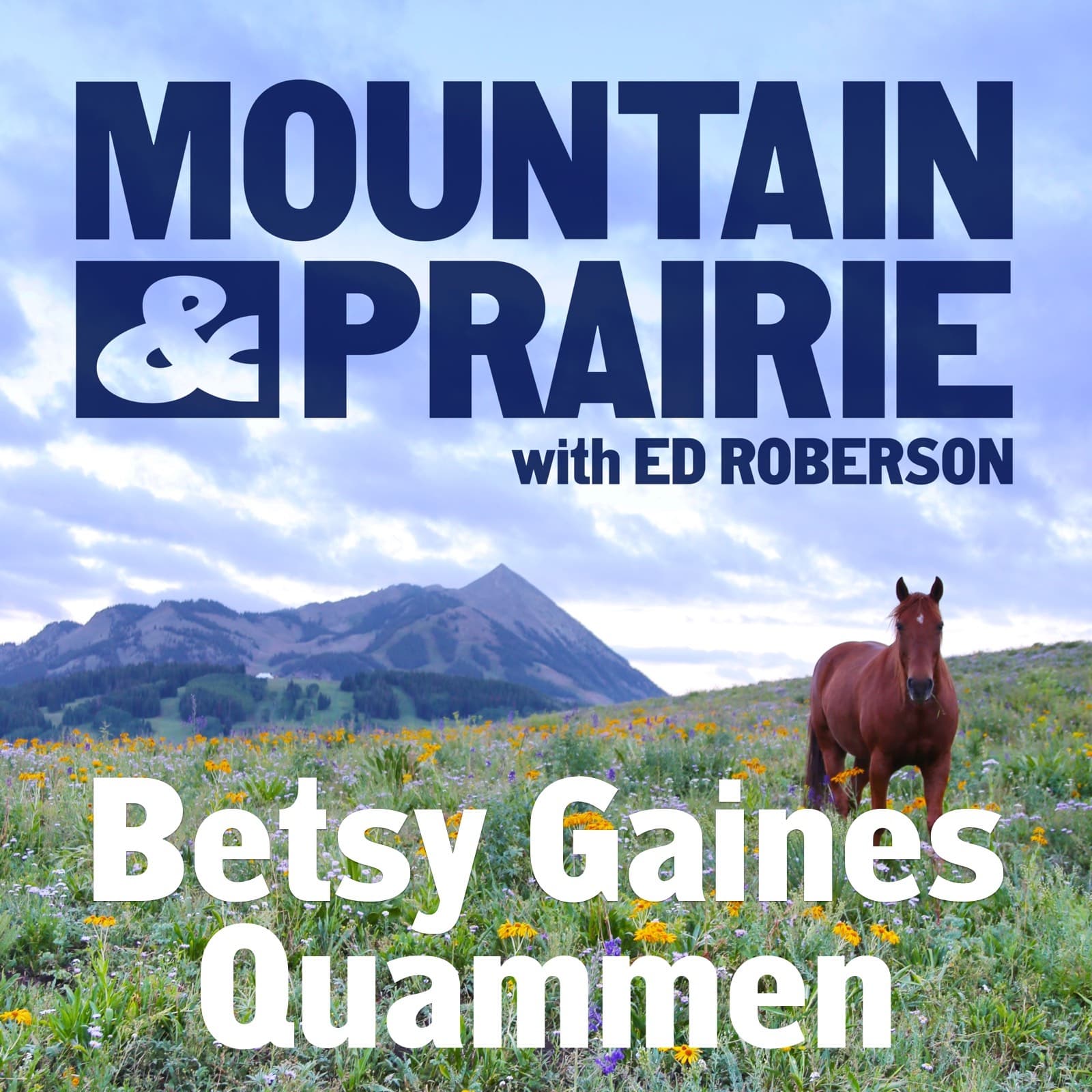 Betsy Gaines Quammen Returns - Myths, Curiosity, and Human Connection (Live at the Old Salt Festival)
