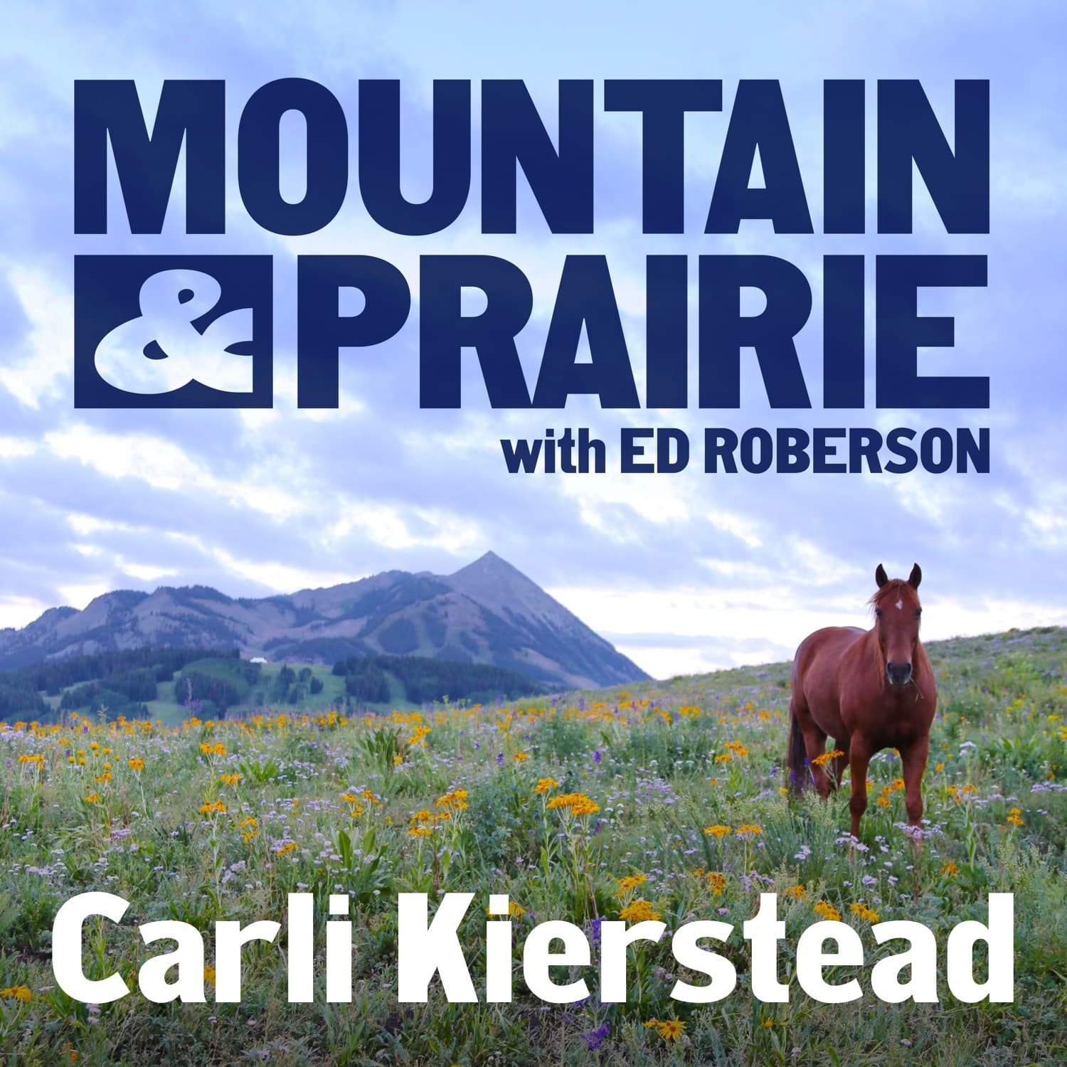 Carli Kierstead – Wyoming Forests and the Work of Keeping Water Flowing