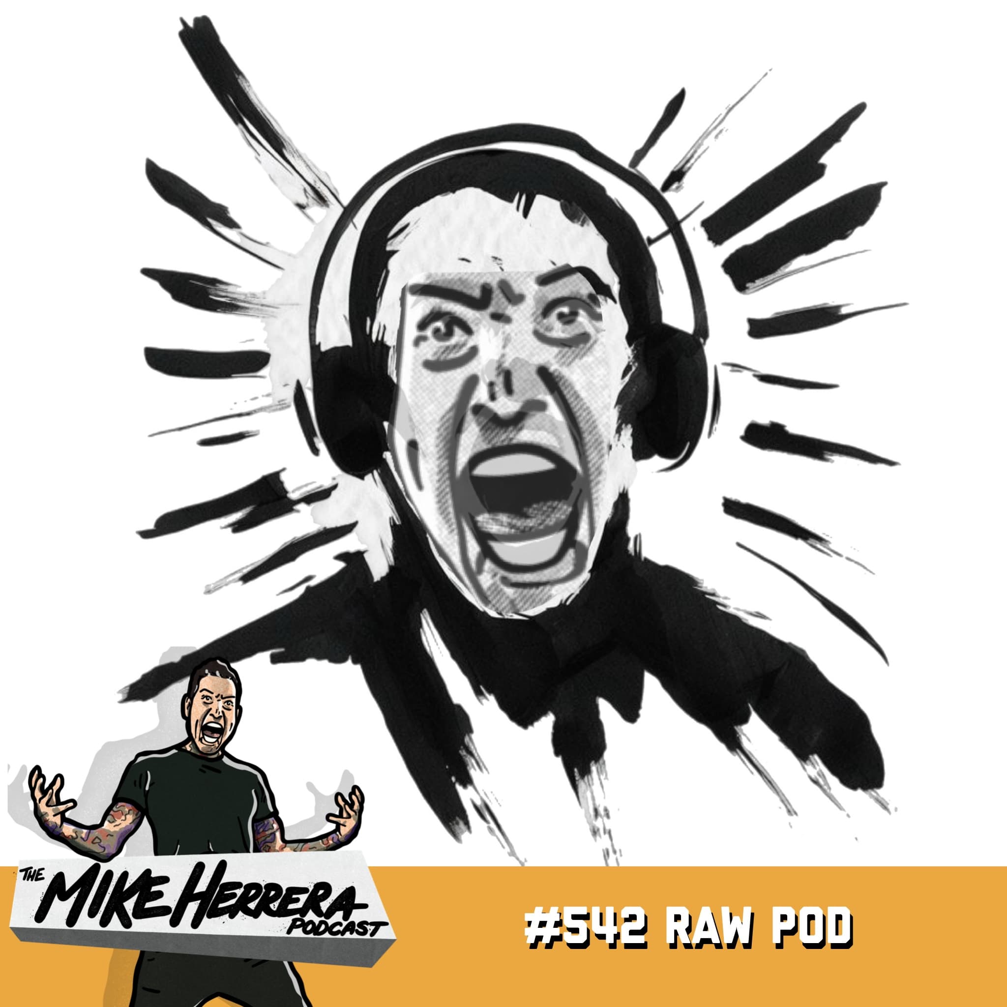 #542 Raw Pod