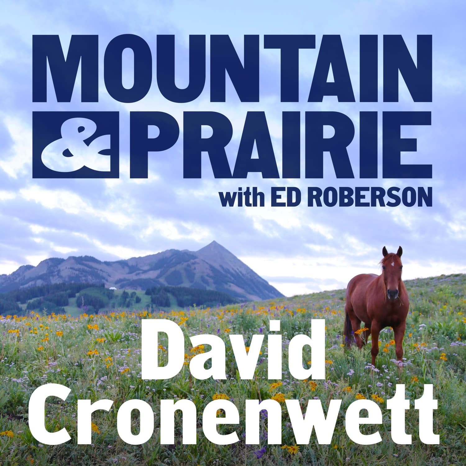 David Cronenwett - Lessons from Jiu-Jitsu, On and Off the Mats