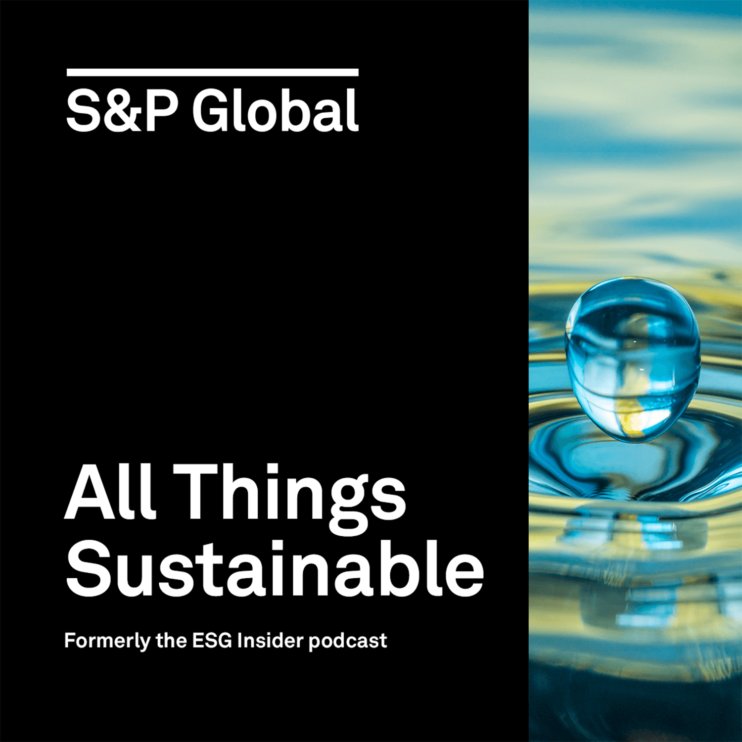 How companies are making products, packaging and shipping sustainable this holiday season