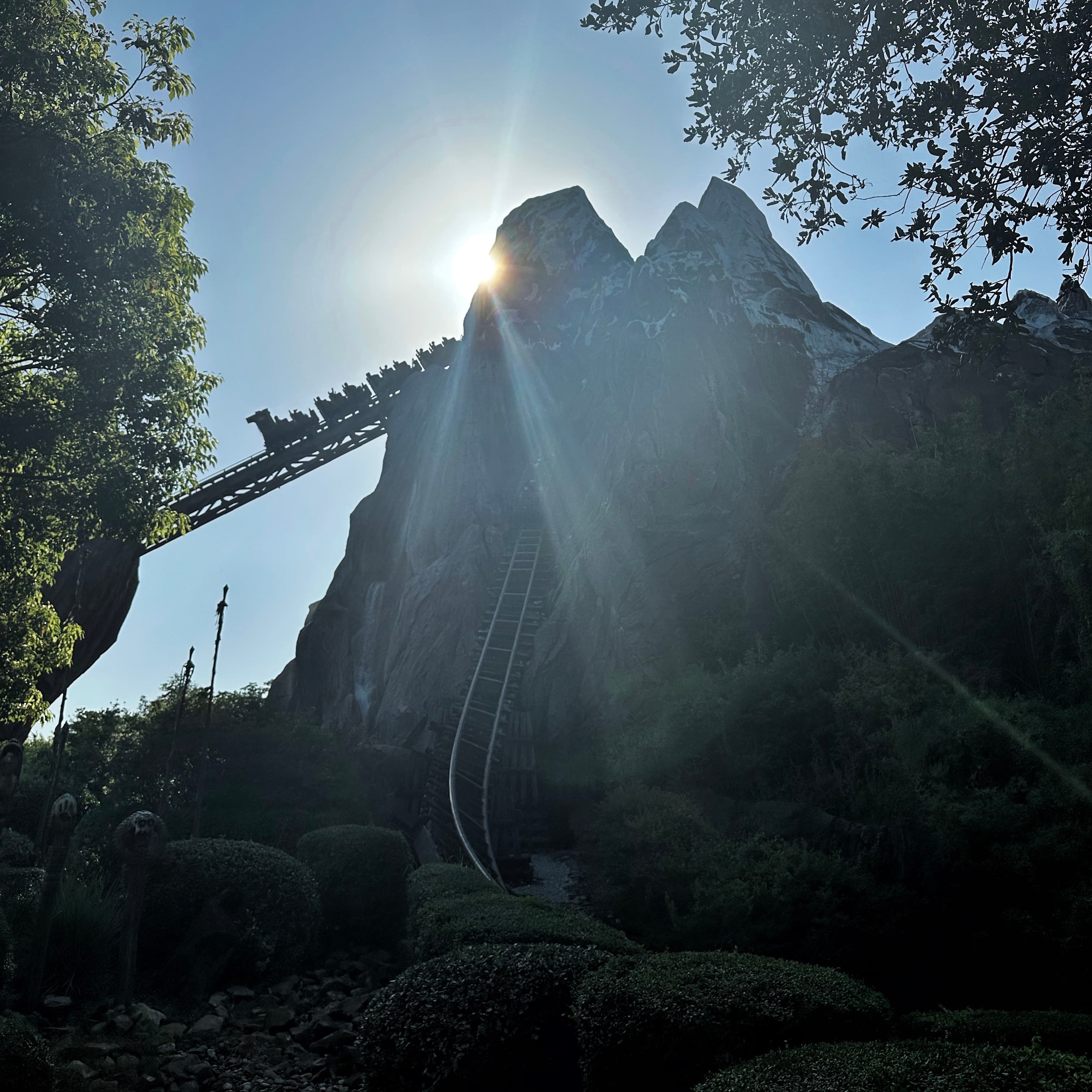 Grand Tour Walkabout of Disney's Animal Kingdom with Host Producer Josh