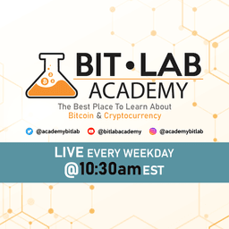 BitLab Academy