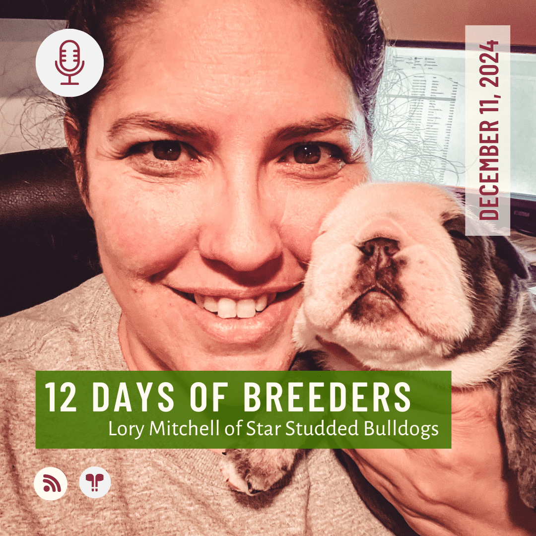 12 Days of Breeders #09 - Lory Mitchell of Star Studded Bulldogs