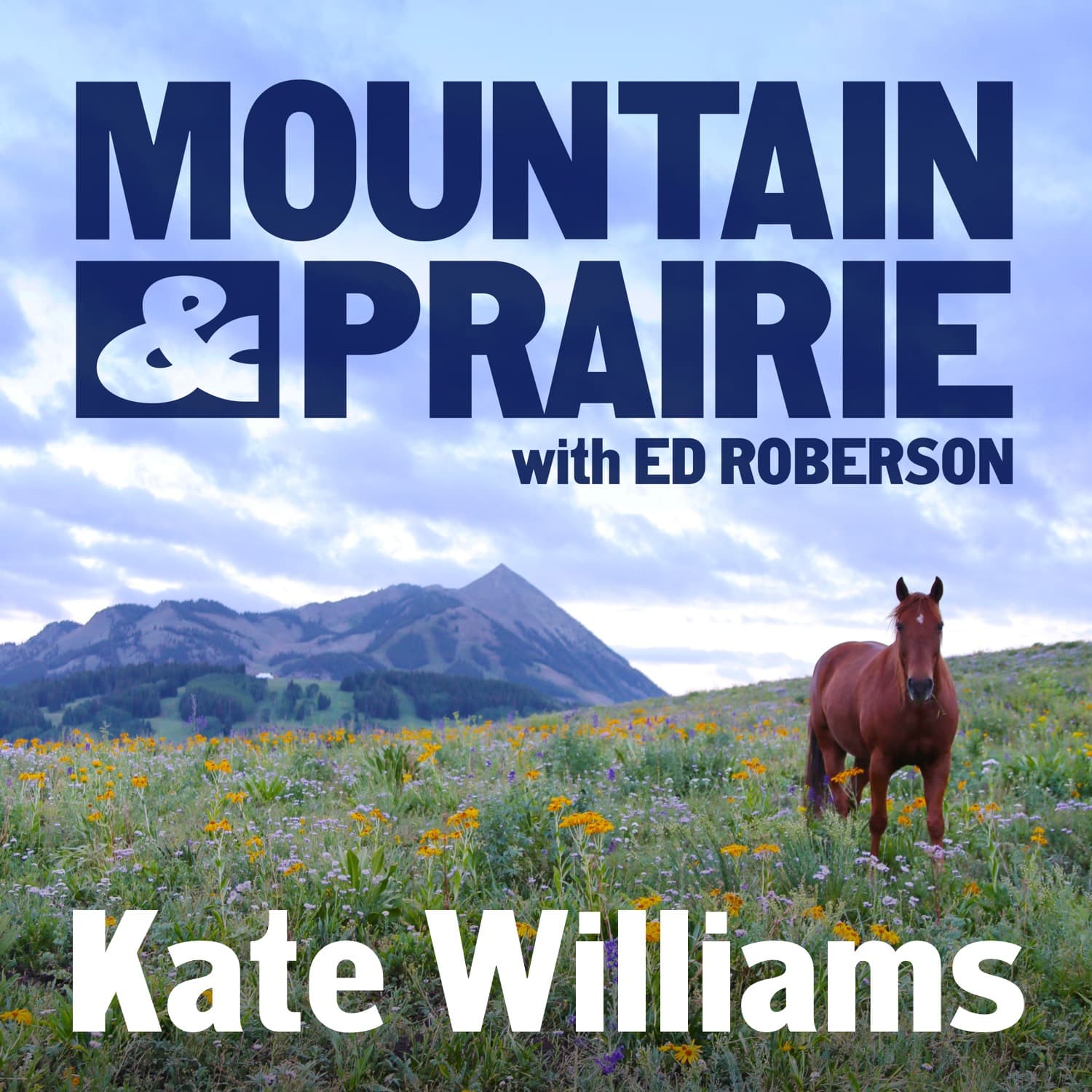 Kate Williams – Leadership Lessons from the CEO of 1% for the Planet