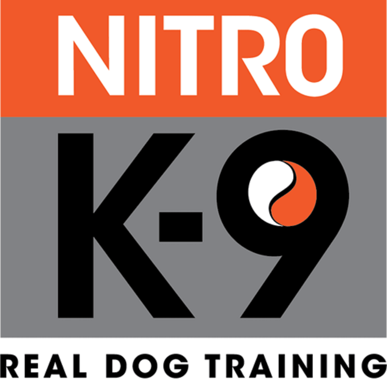 Real Dog Training - The Doorbell Problem