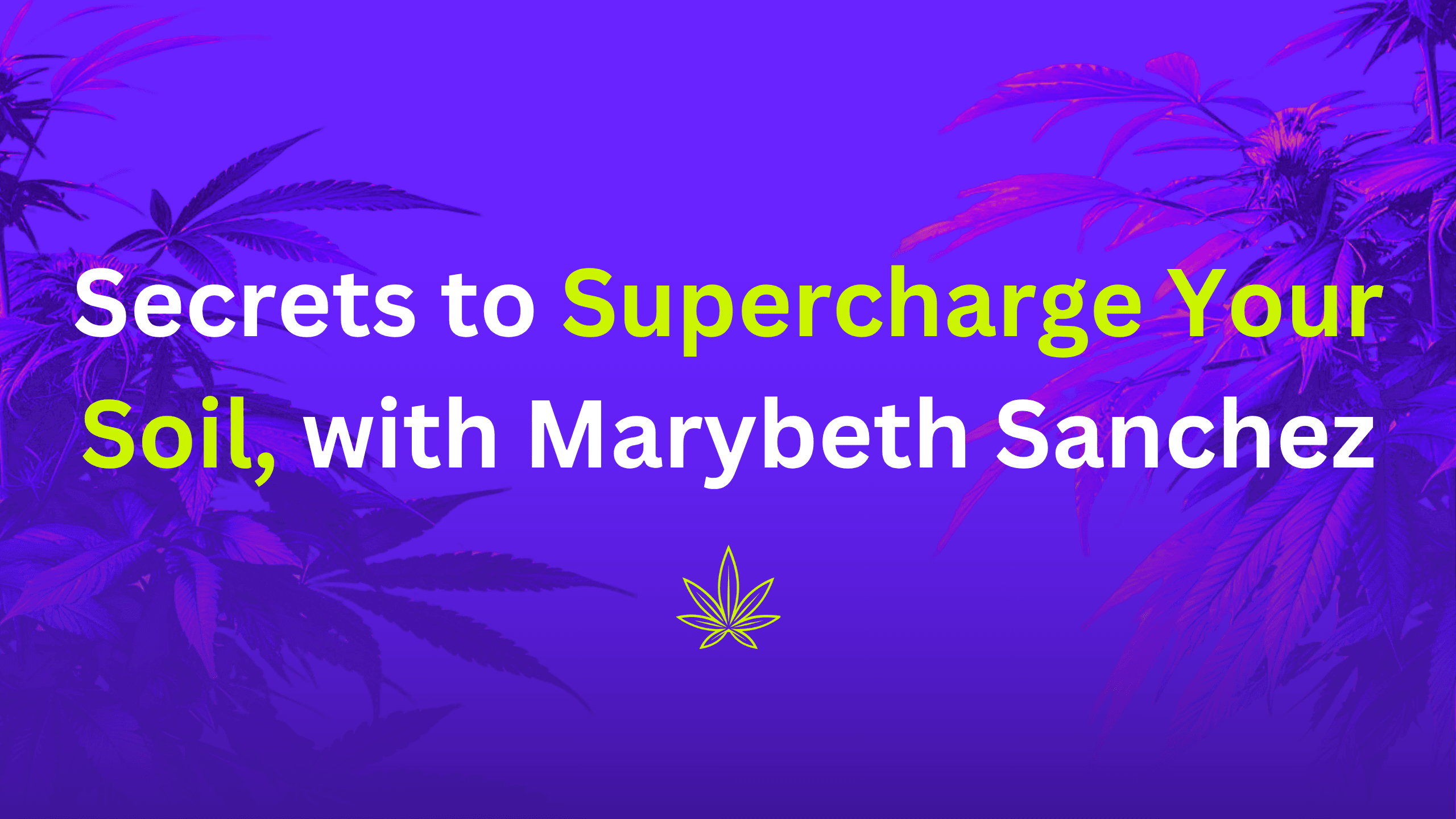 🤫 Secrets To Supercharge Your Soil, with Marybeth Sanchez