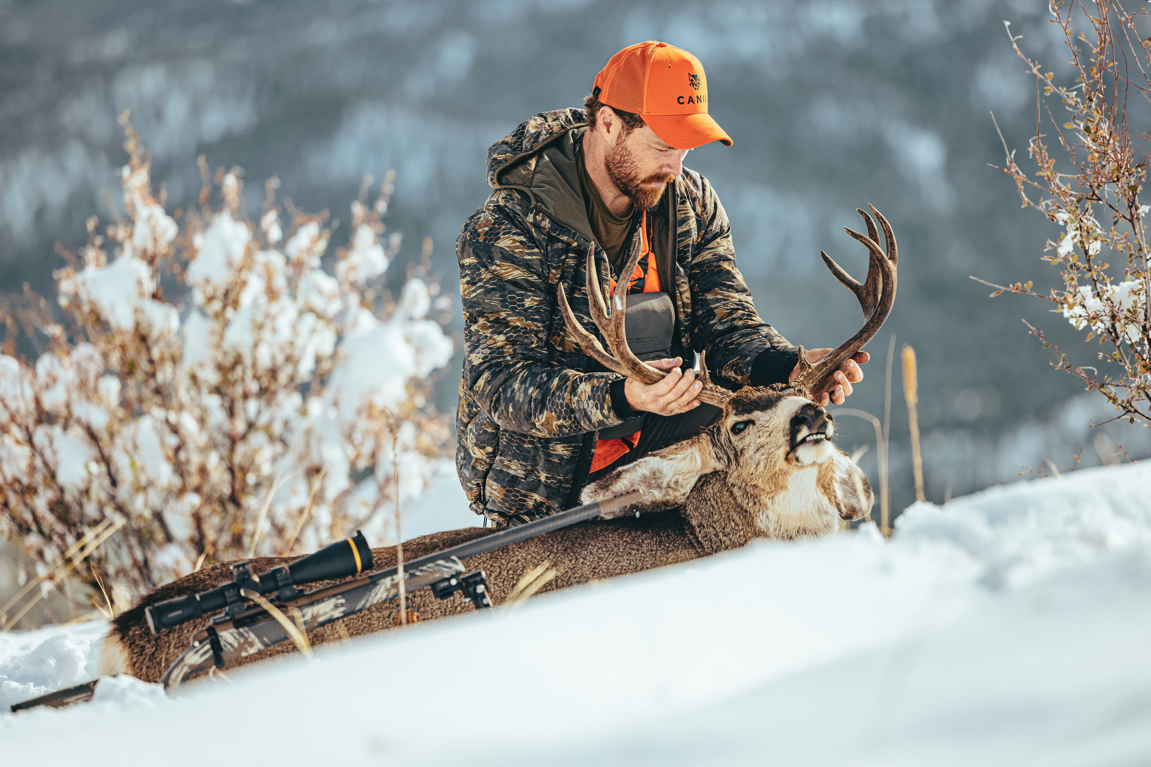Planning & Doing a DIY Mule Deer Hunt, with Hunter McWaters