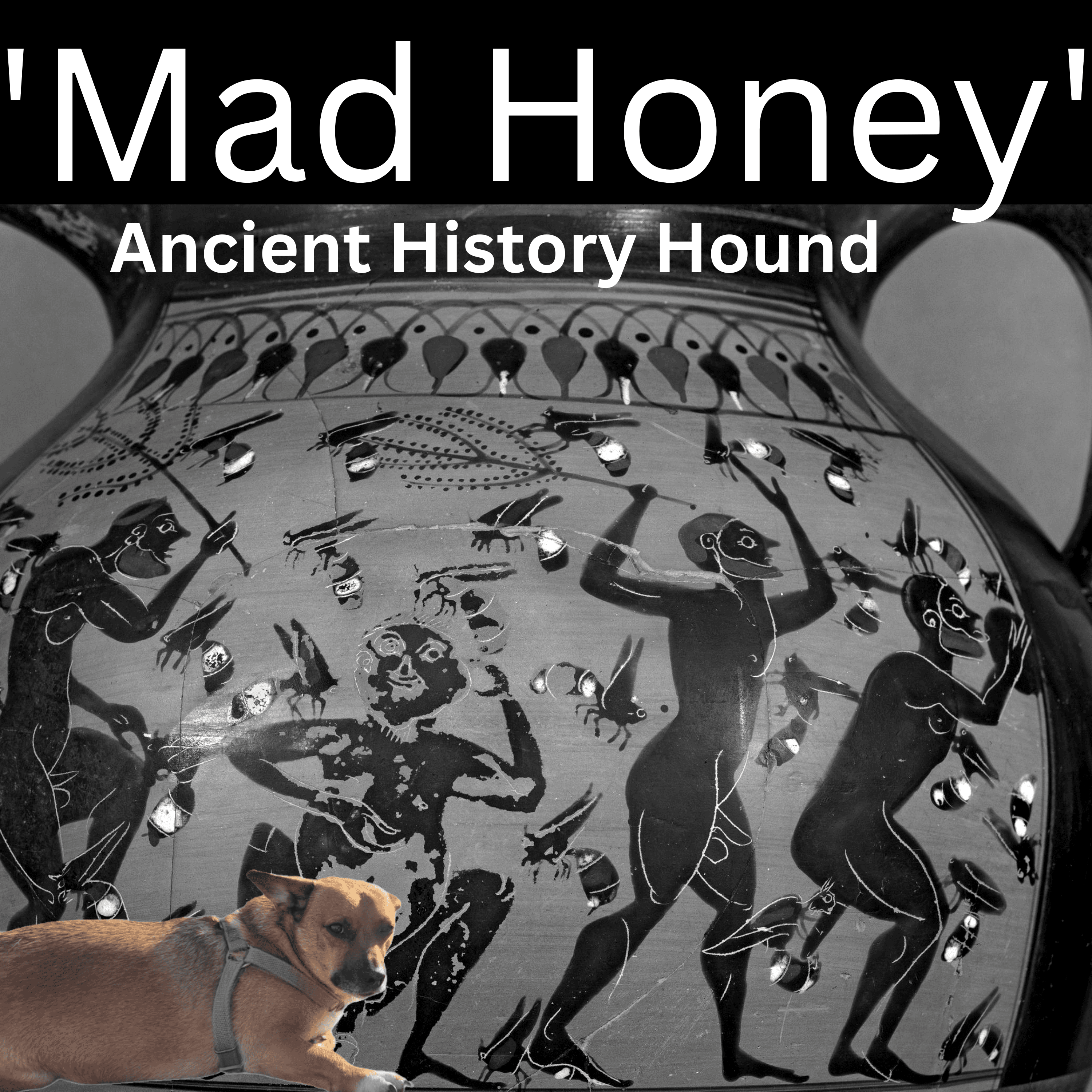 'Mad Honey'.