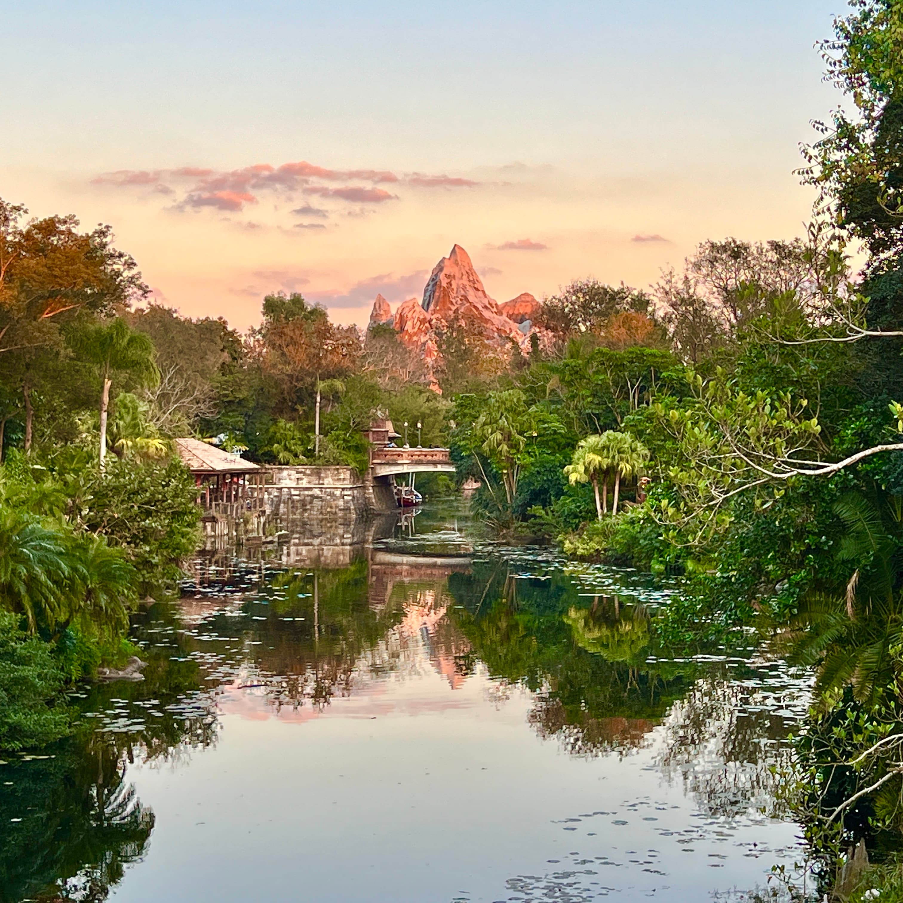 Disney's Animal Kingdom Walkabout with New Host Jay!