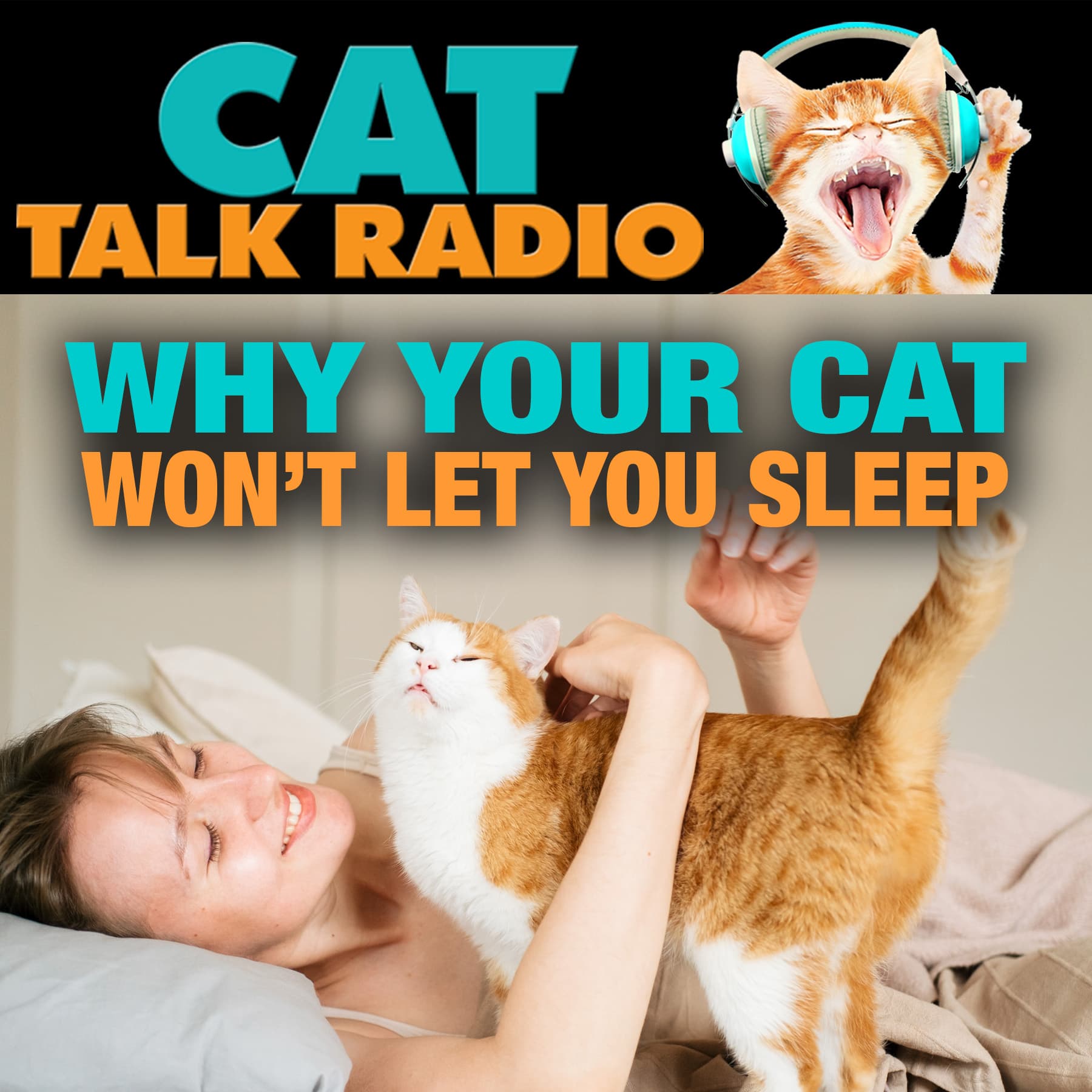 Why Your Cat Wakes You Up at Night (and How to Stop It)