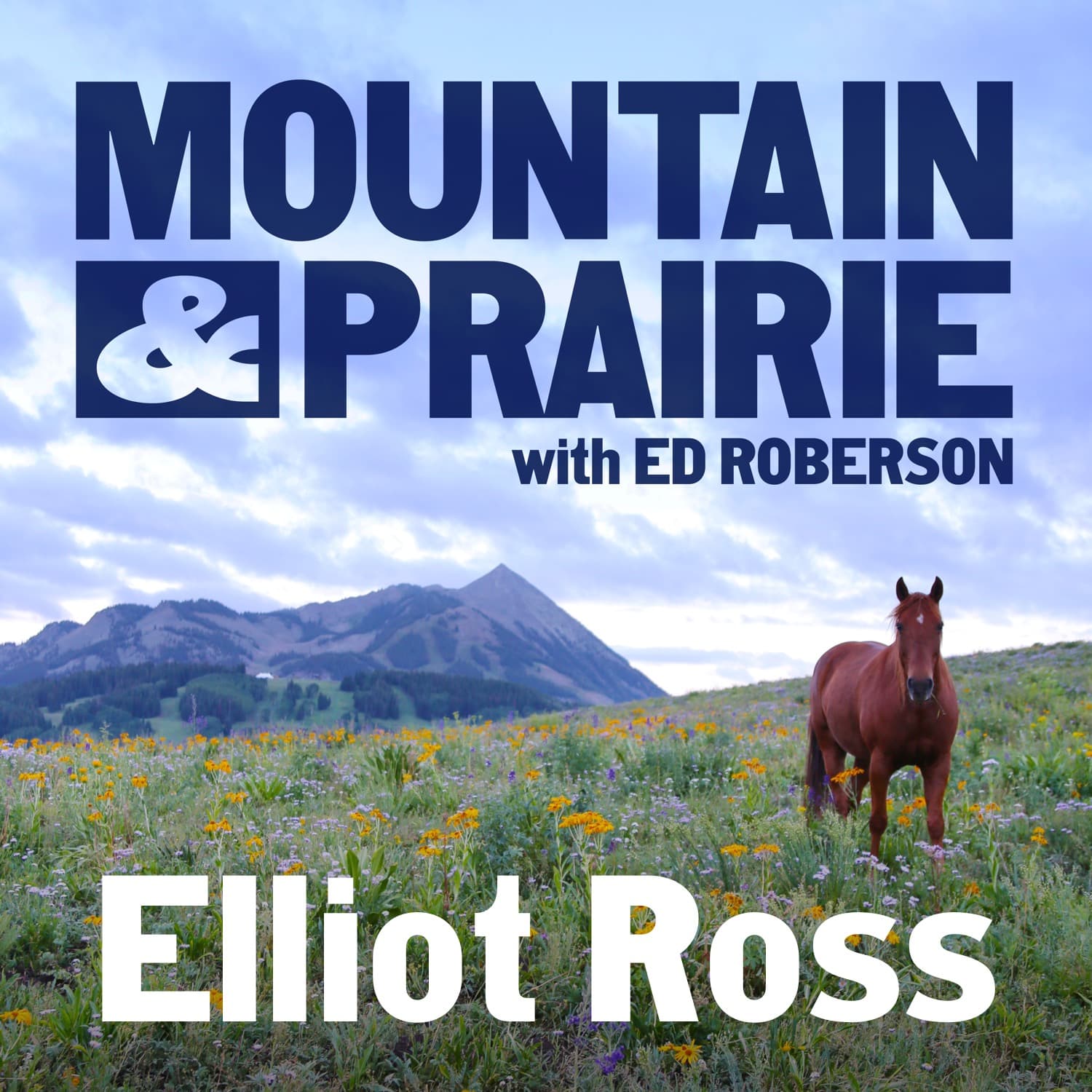 Elliot Ross: Where Landscape, Justice, and Storytelling Meet