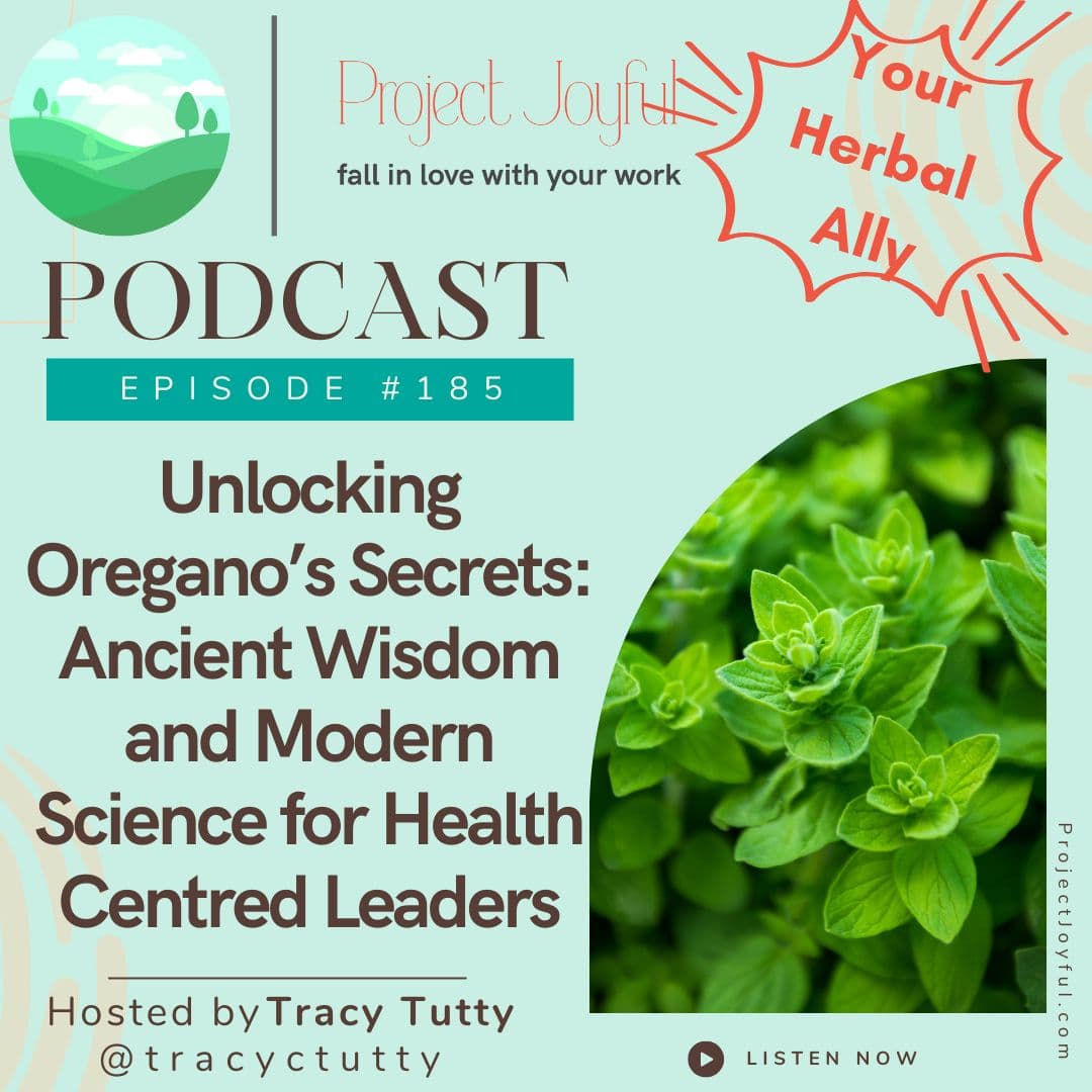 Unlocking Oregano's Secrets: Ancient Wisdom and Modern Science for Health Centred Leaders