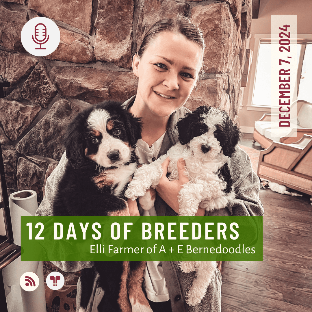 12 Days of Breeders #05 - Elli Farmer of A + E Bernedoodles