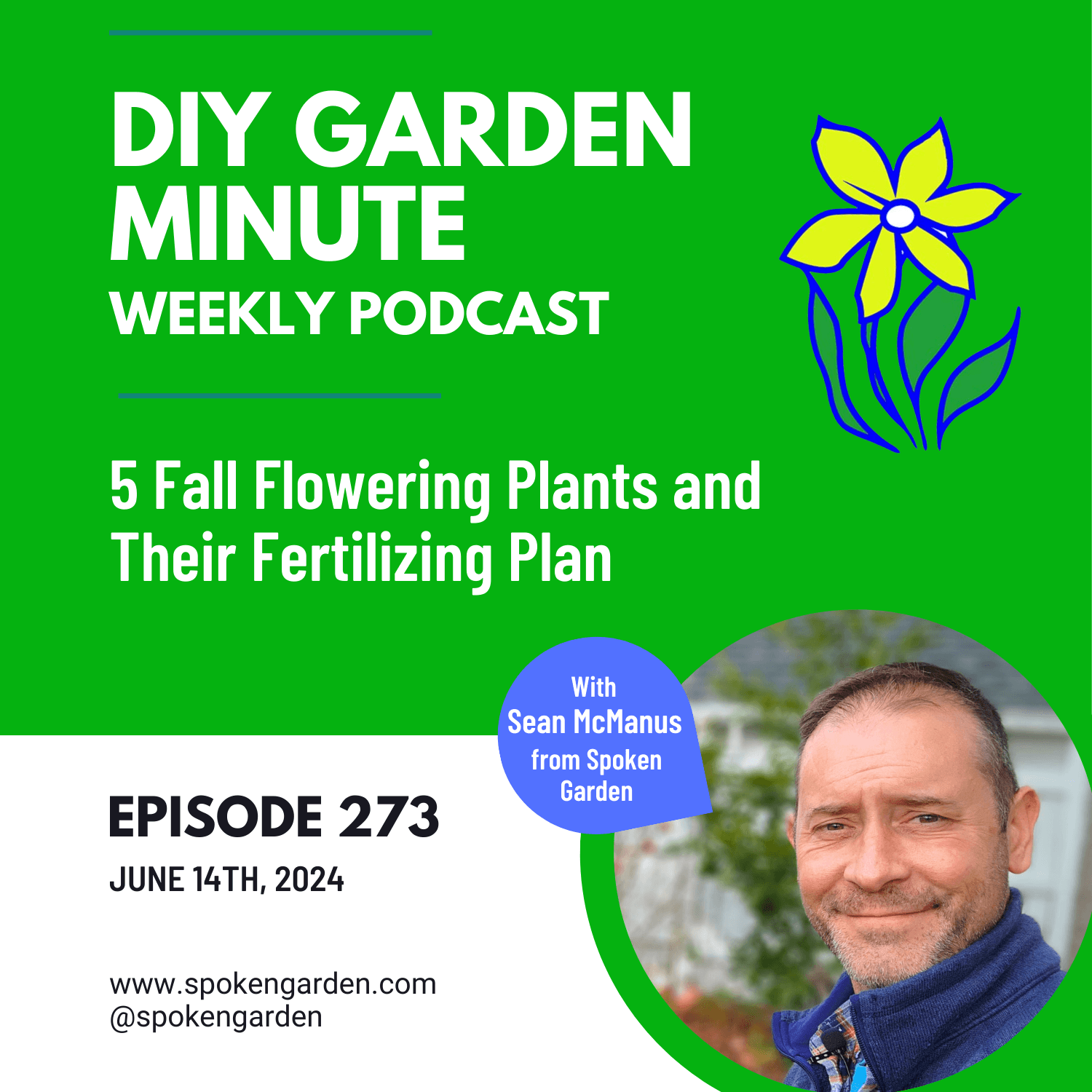 5 Fall Flowering Plants to Fertilize in June or July - DIY Garden Minute