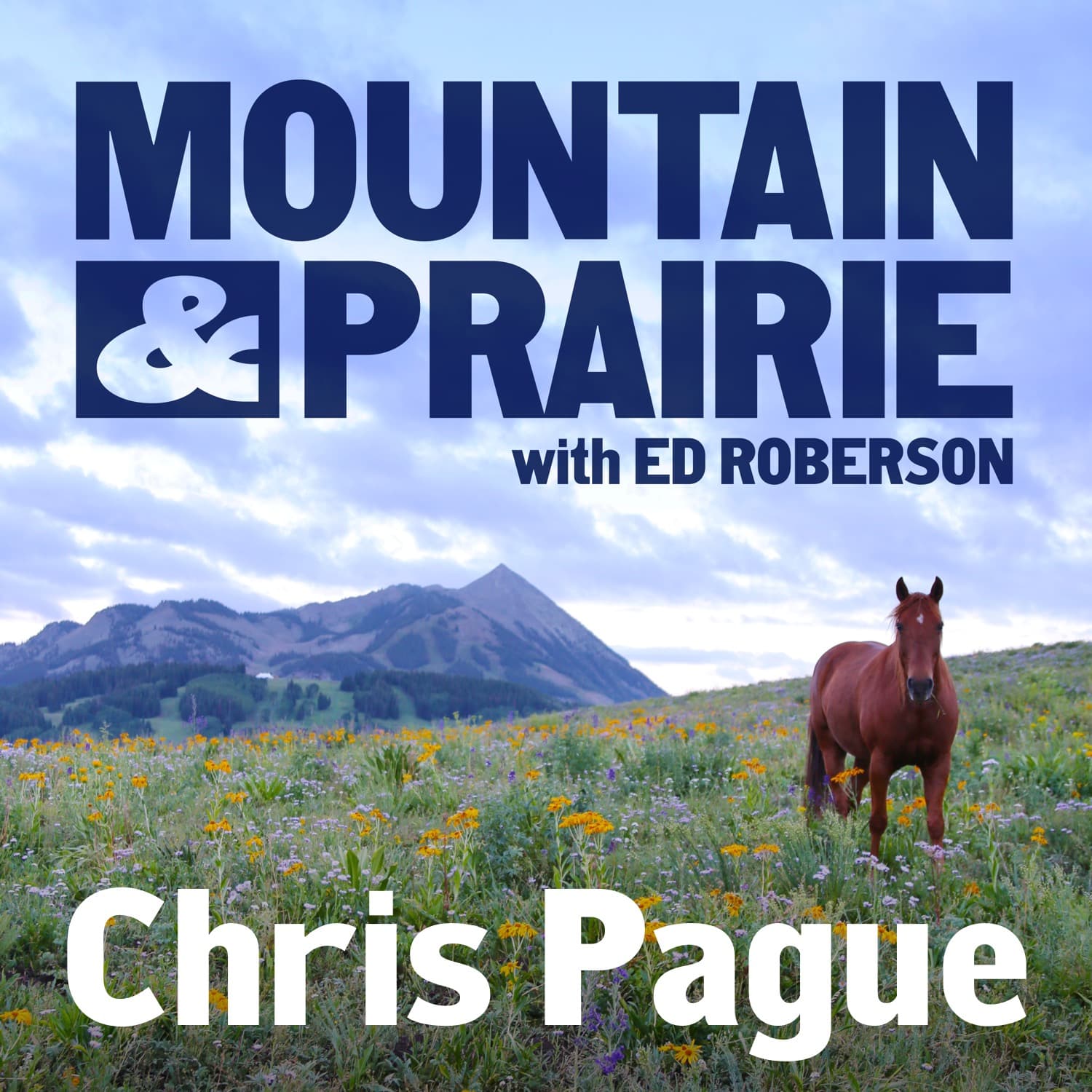 Chris Pague - Stories, Science, and the Southern High Plains