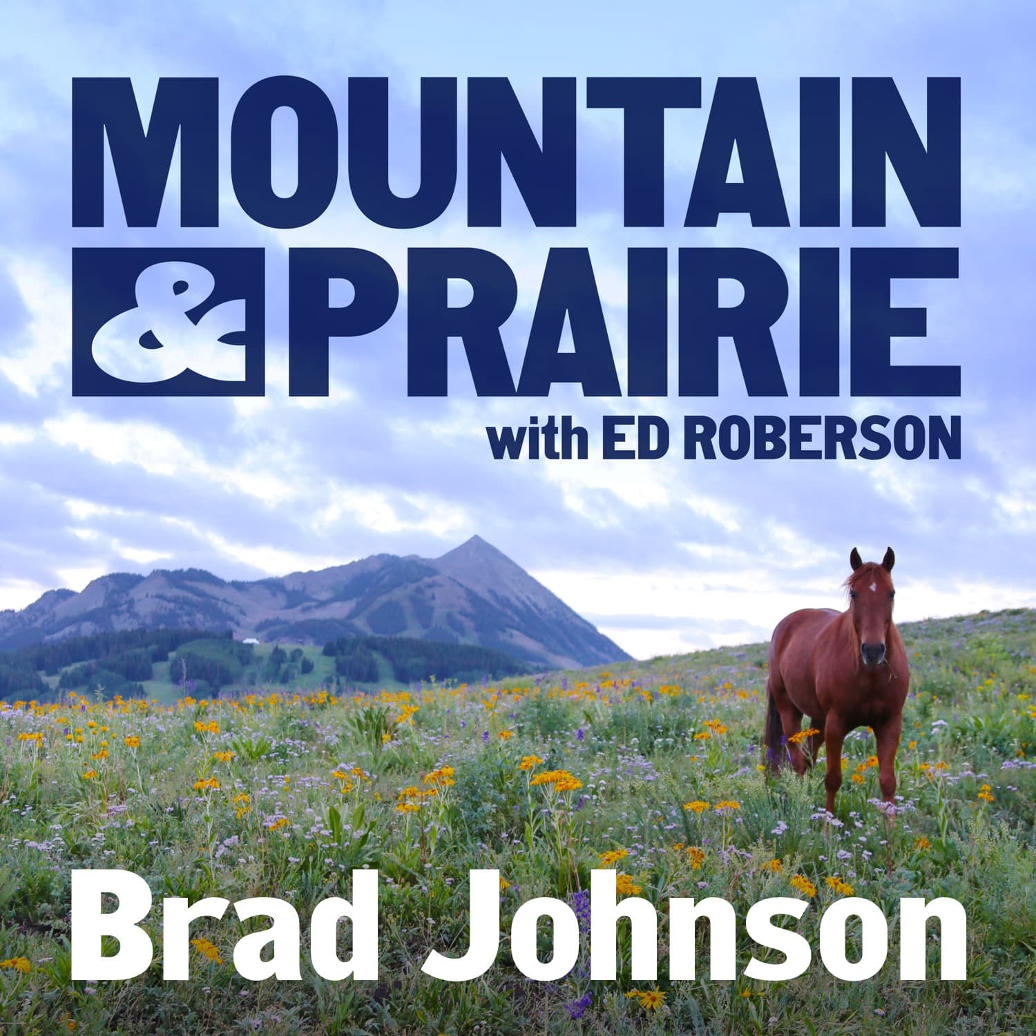 Brad Johnson – Building Trust and Soil Health