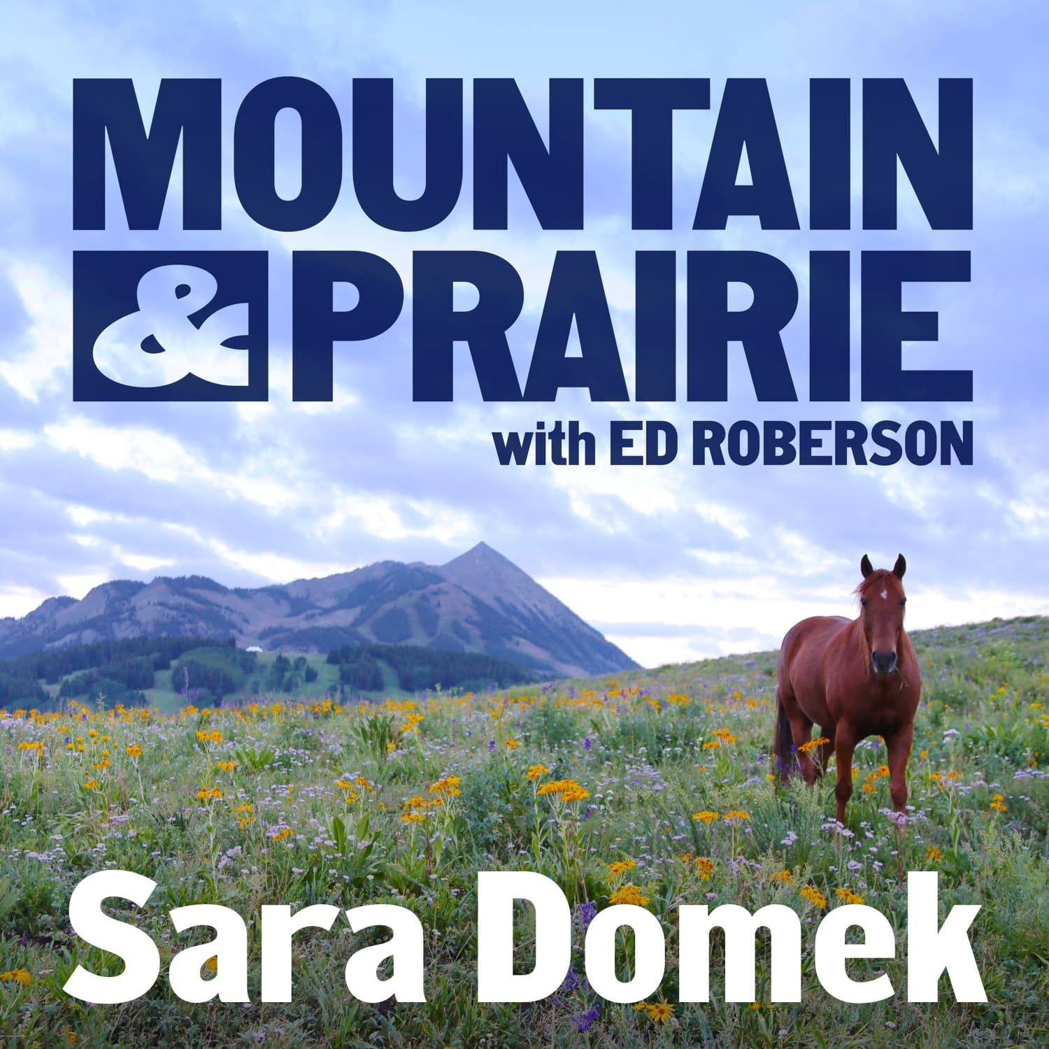 Sara Domek – The Science and Story of Wyoming's Wildlife Migration
