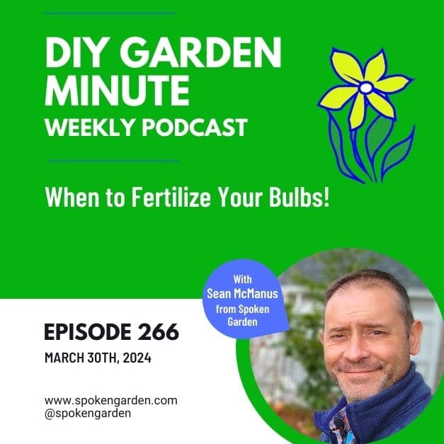 When to Fertilize Your Bulbs - DIY Garden Minute