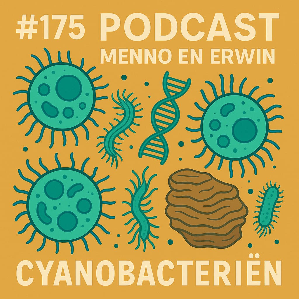 🎧 # 192 Blauwalgen zijn geen algen maar wel blauw; en ze zijn net zo bijzonder als vervelend