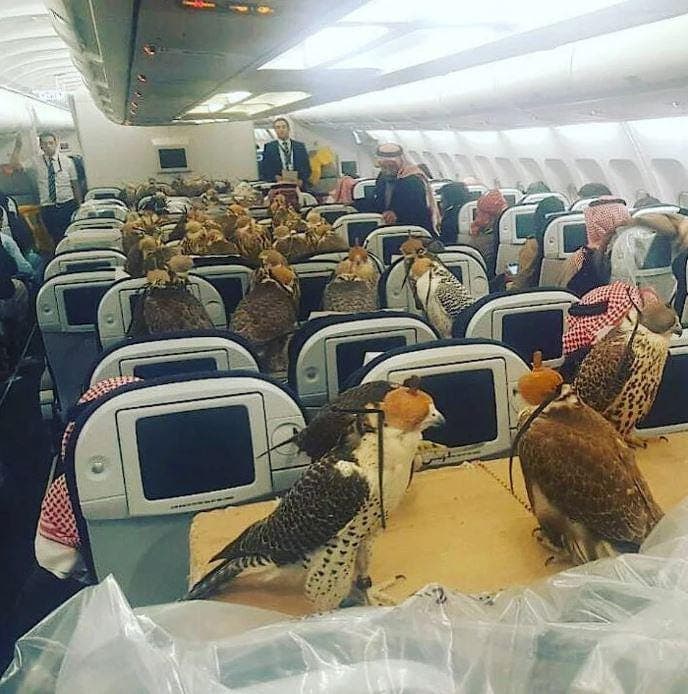 Gulf States Reveal How Post-Scarcity Luxury Melts Your Brain