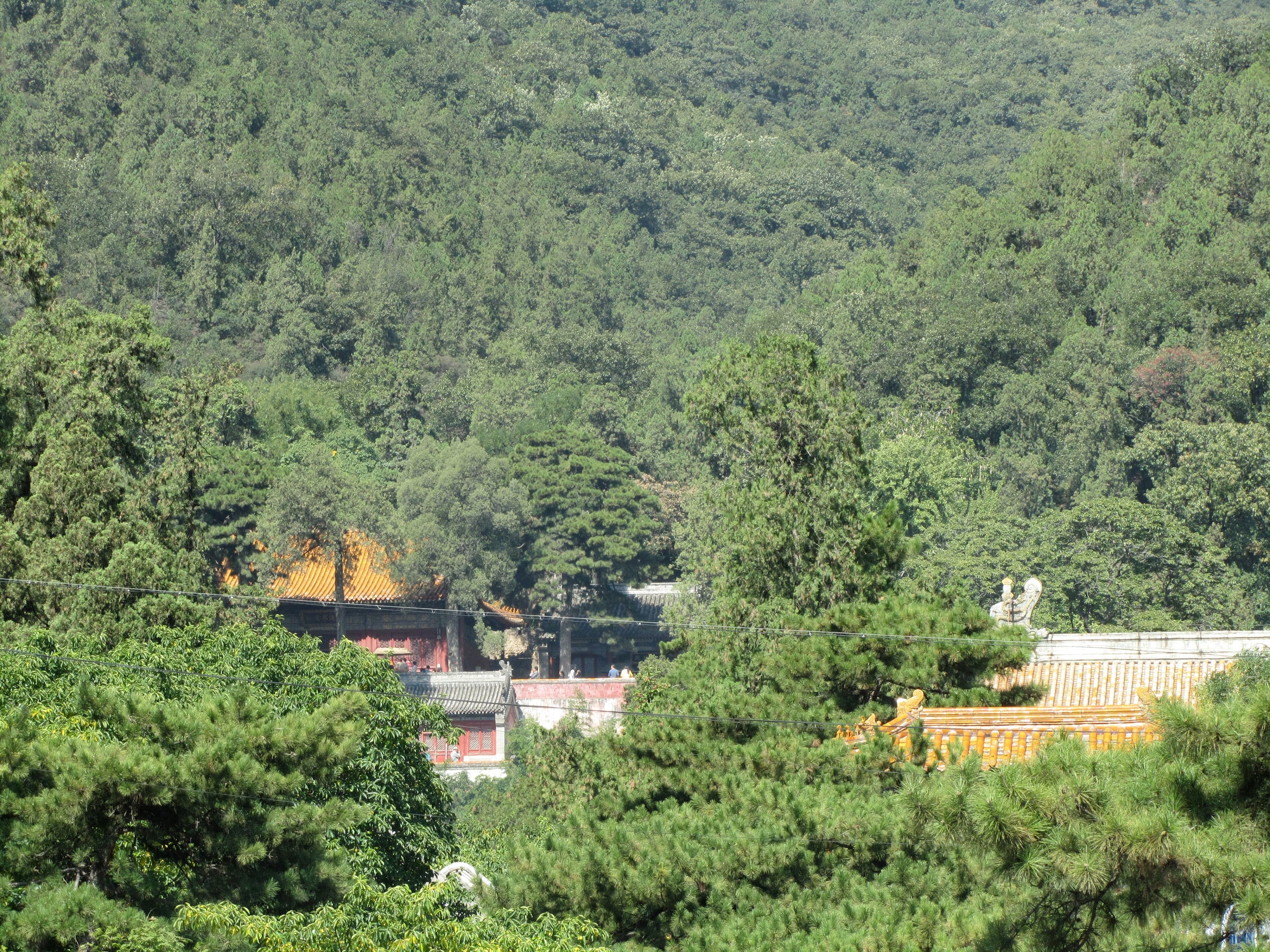 Sharp China: Trump's Memorandum on Foreign Investment; 'Reverse Nixon' Realities; Document #1; PLA Drills in the Tasman Sea