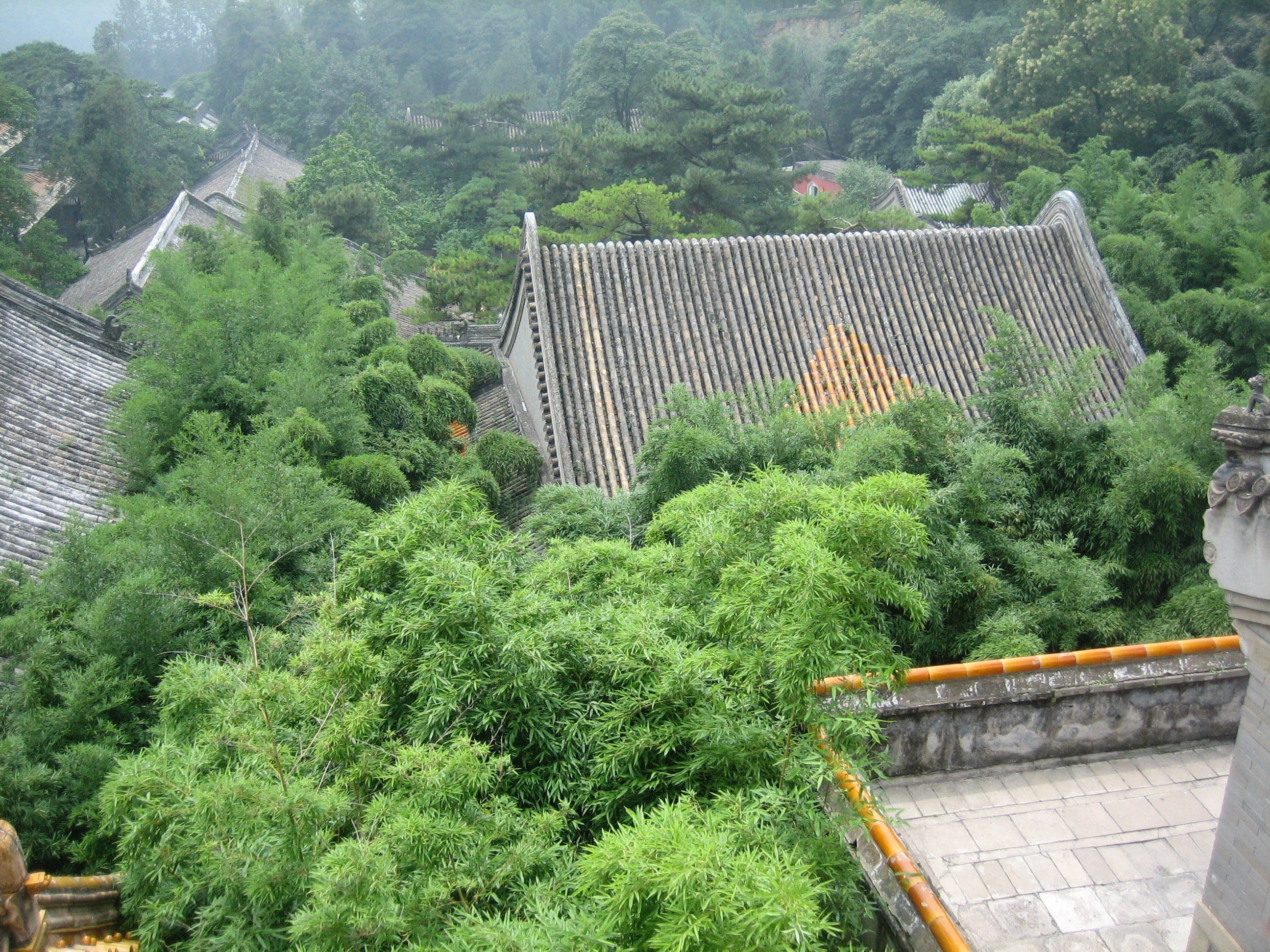 Sharp China: Bessent and an ‘Unsustainable’ Path; Making Sense of Hourly Madness; The PRC’s Message to the World; A Note on Canada