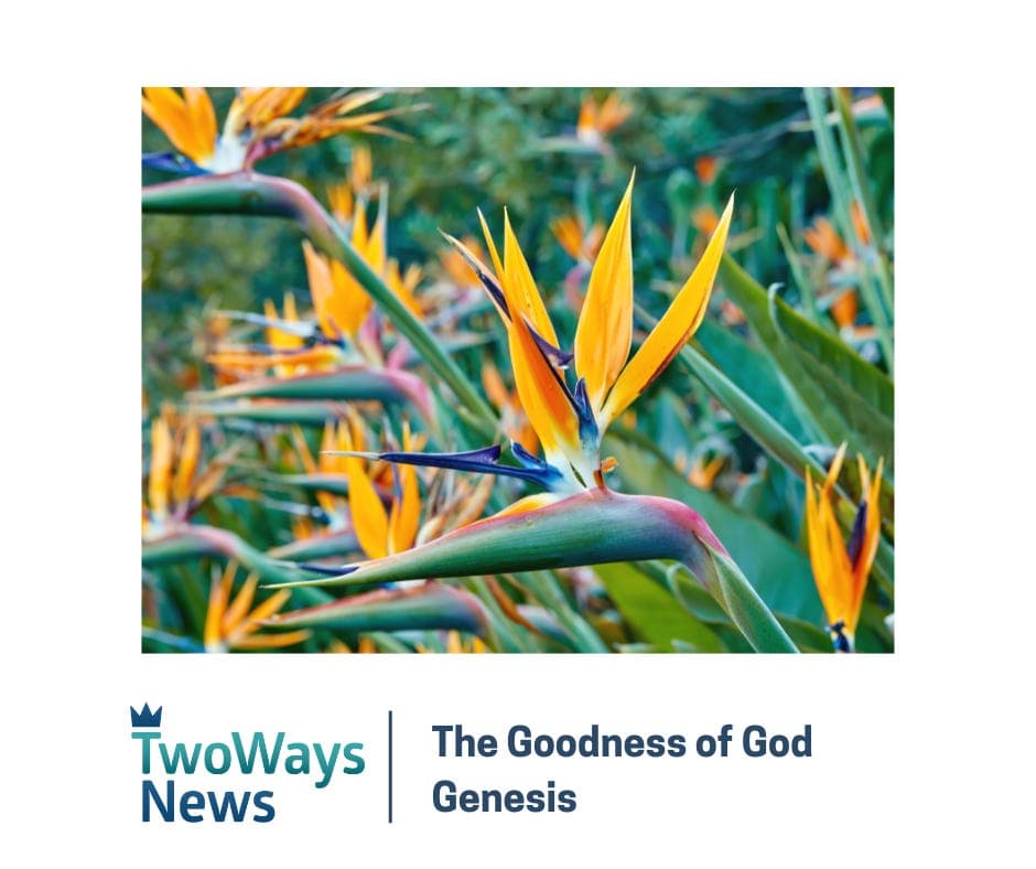 The Goodness of God